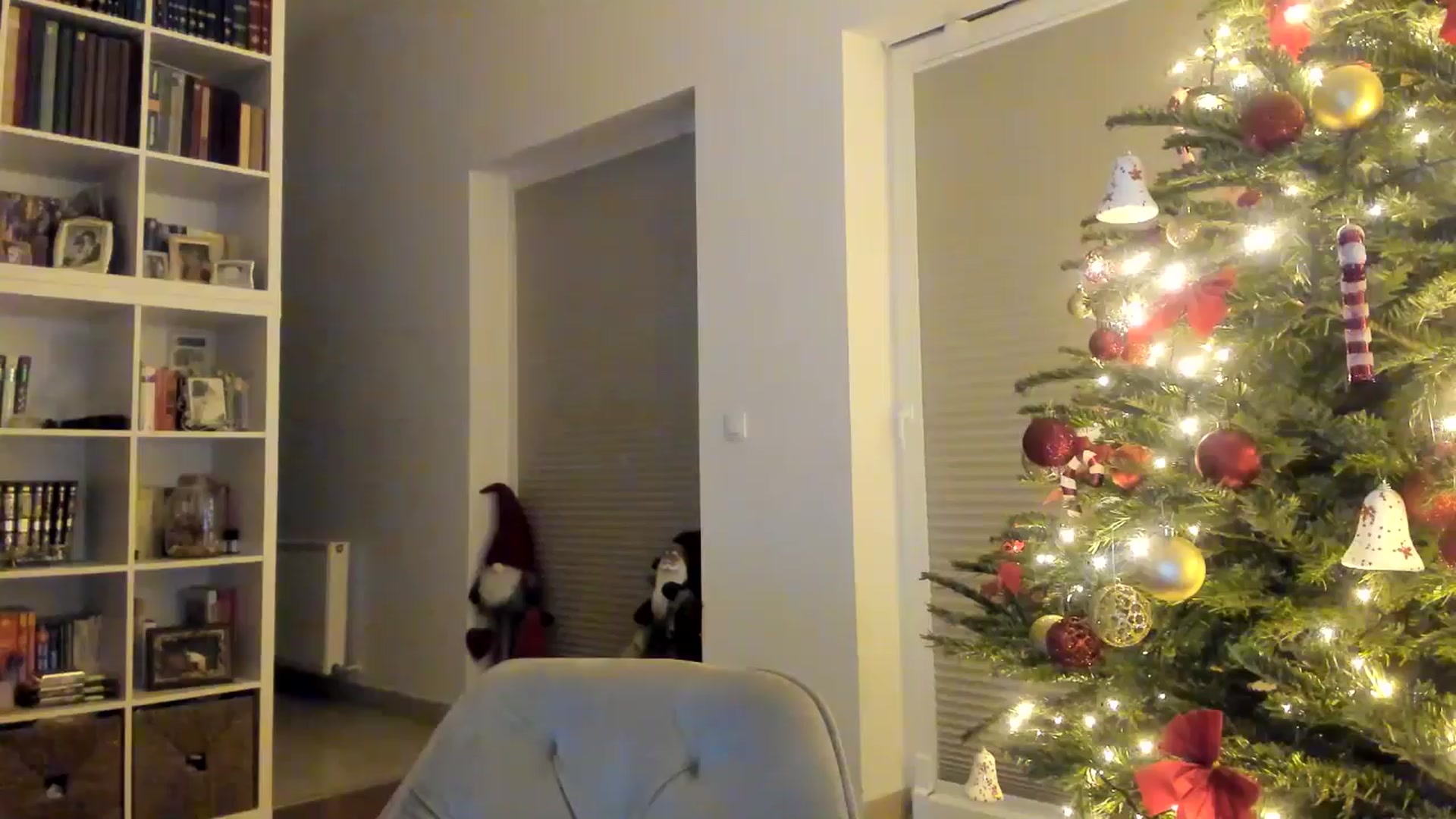 Gallery image thumbnail from itwas_eve's myfreecams stream on, 12/27/2024, 01:48 image 8 of 20