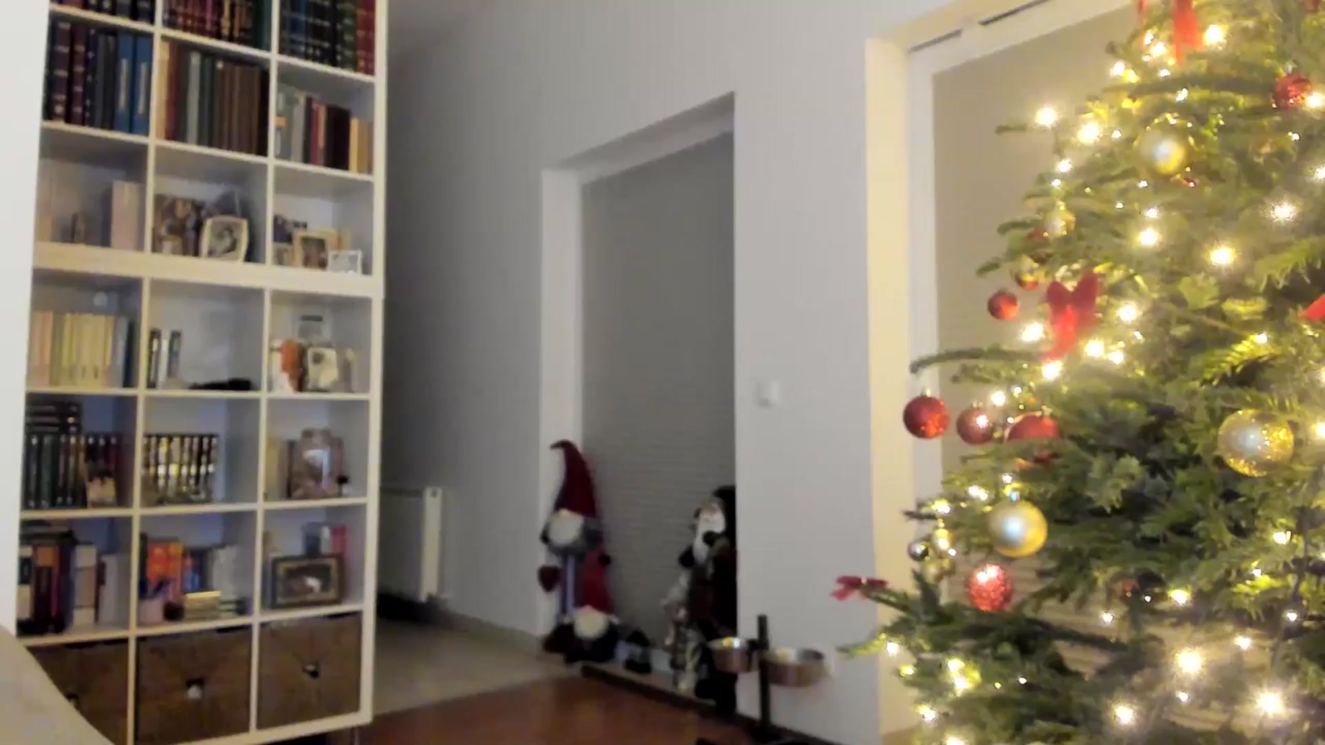 Gallery image thumbnail from itwas_eve's myfreecams stream on, 12/29/2024, 02:30 image 11 of 20