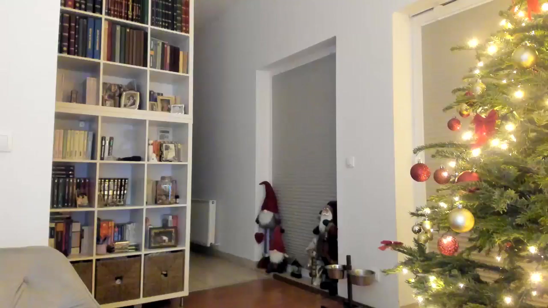 Gallery image thumbnail from itwas_eve's myfreecams stream on, 12/29/2024, 02:30 image 17 of 20