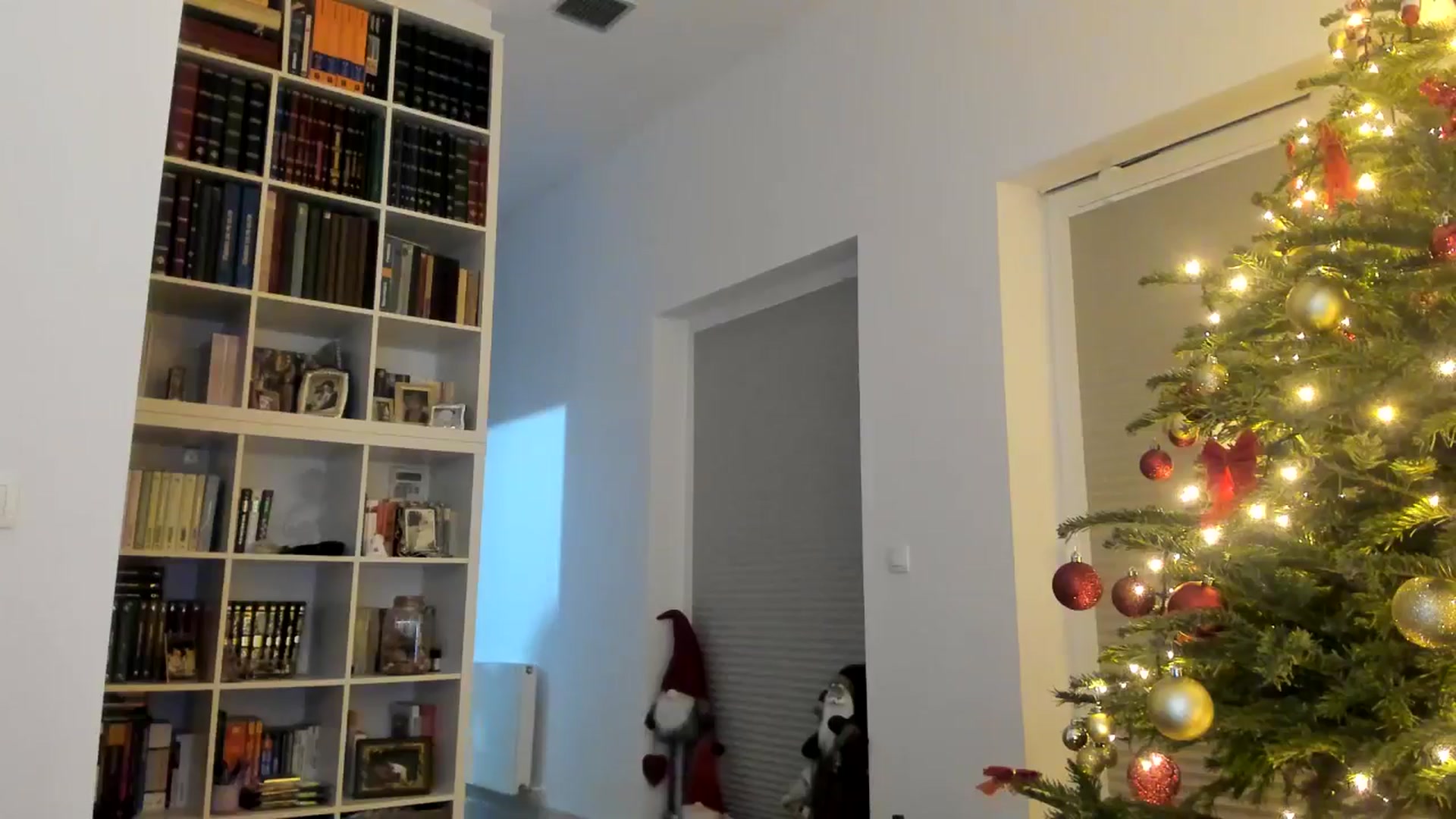Gallery image thumbnail from itwas_eve's myfreecams stream on, 12/29/2024, 02:30 image 13 of 20