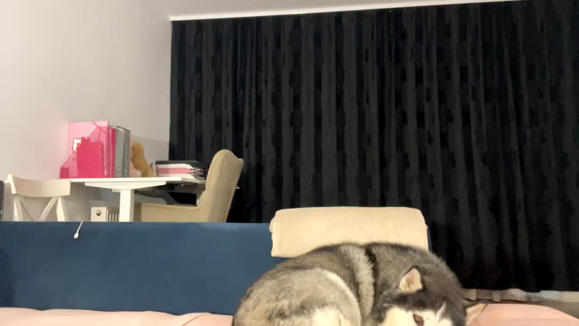 Gallery image thumbnail from itwasnt_me's myfreecams stream on, 11/18/2024, 03:03 image 6 of 20