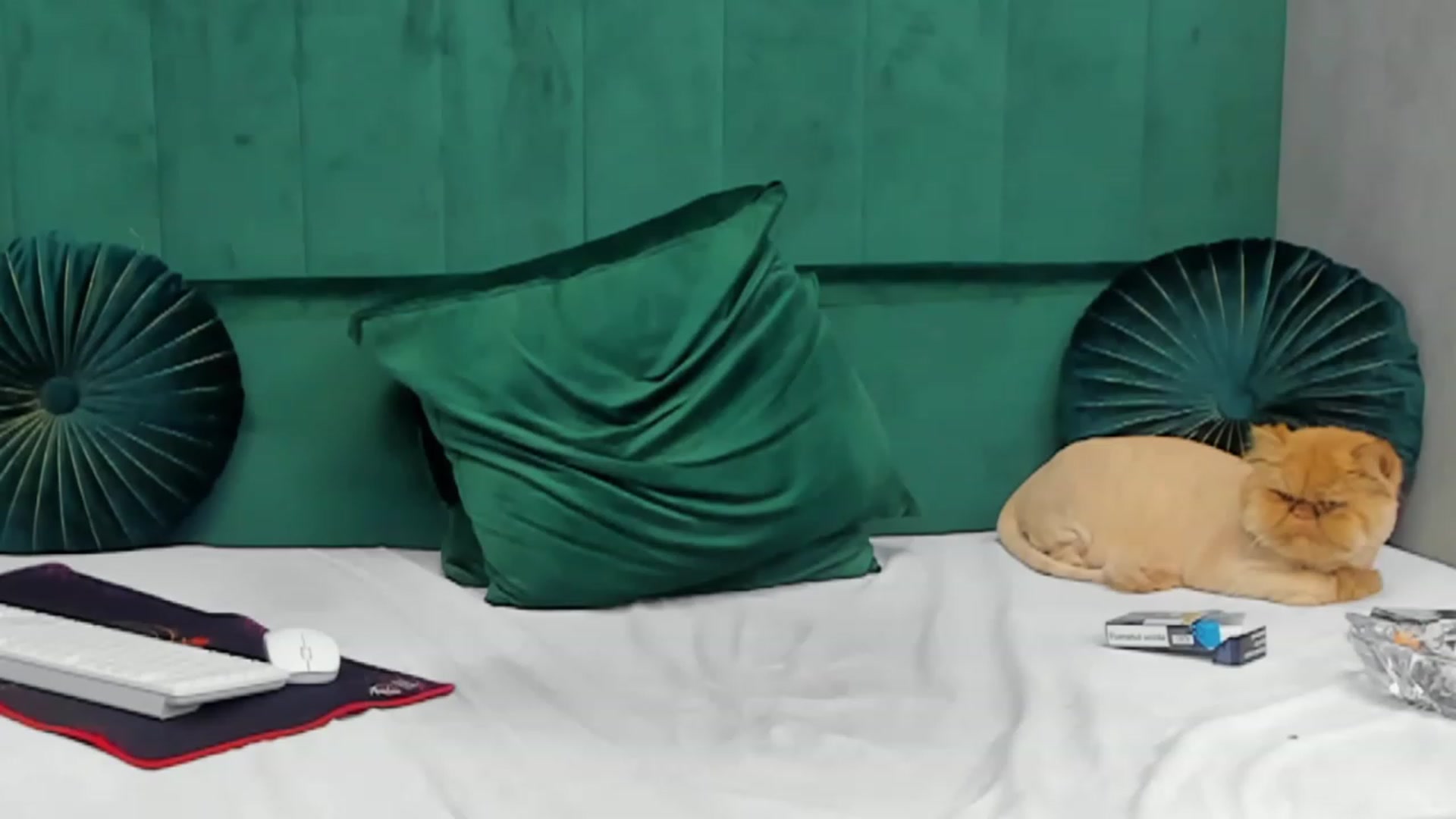 Gallery image thumbnail from ivonady's myfreecams stream on, 01/01/2023, 05:07 image 3 of 20