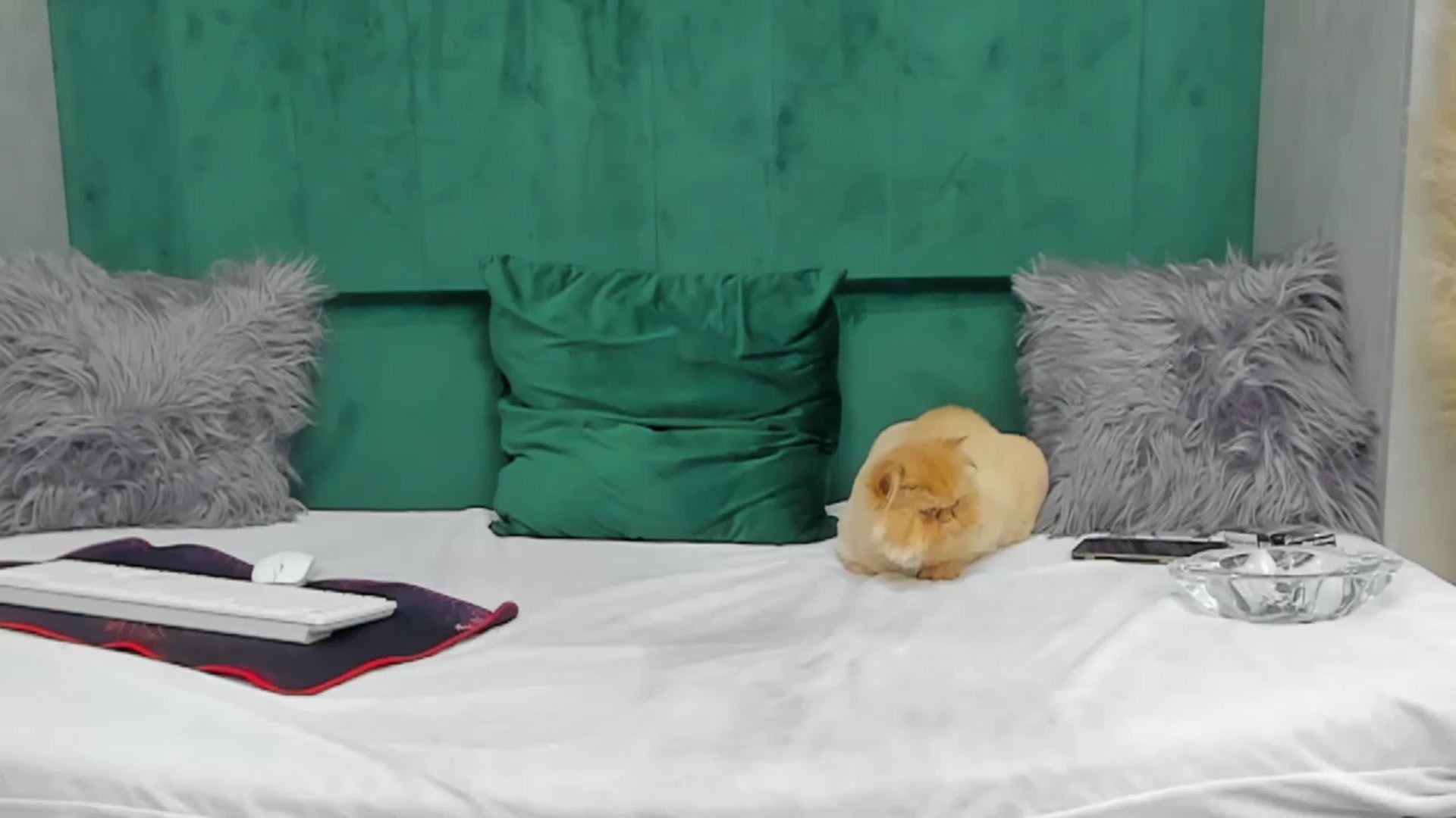 Gallery image thumbnail from ivonady's myfreecams stream on, 04/28/2023, 23:49 image 4 of 20