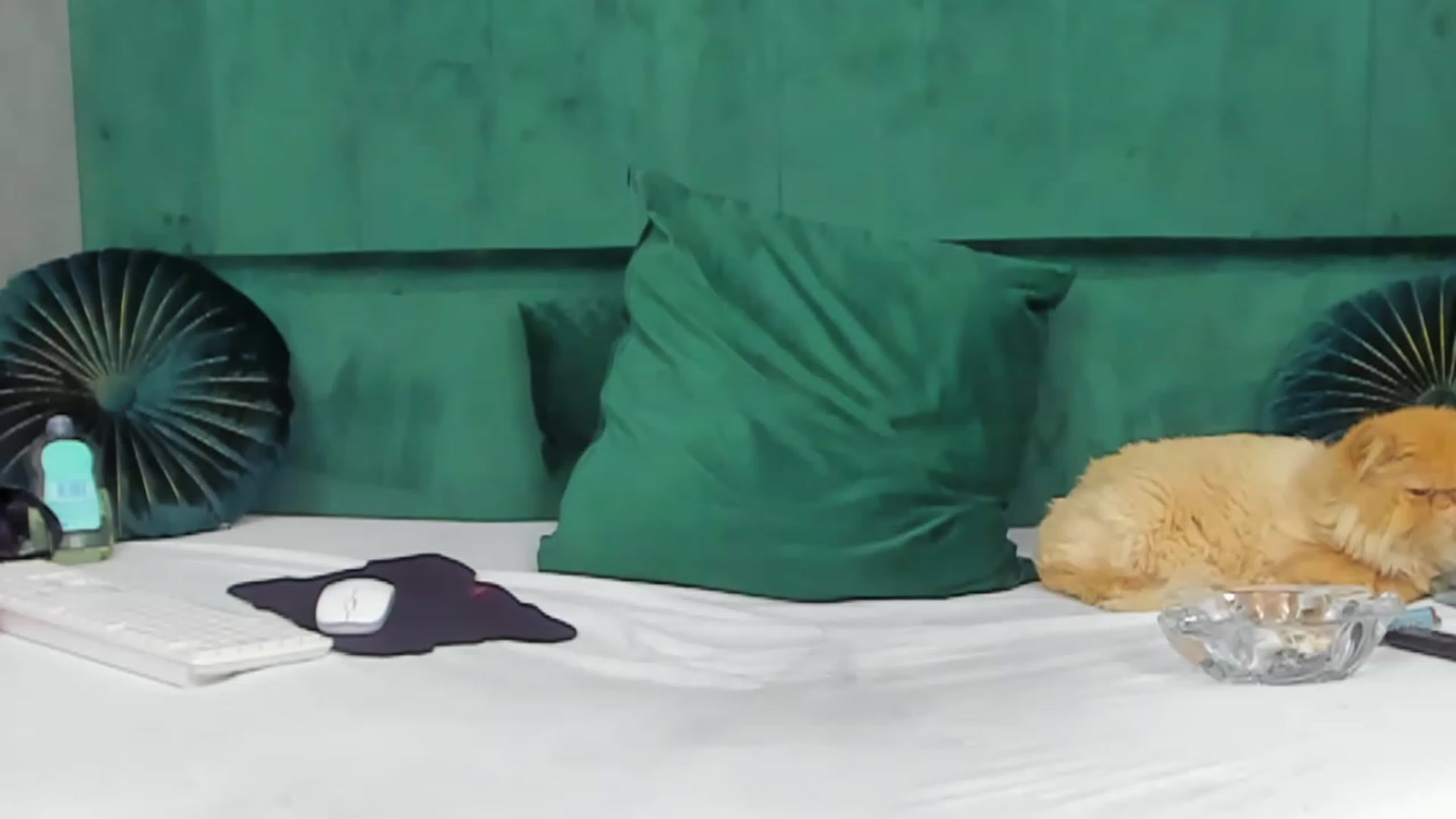 Gallery image thumbnail from ivonady's myfreecams stream on, 06/11/2023, 01:02 image 1 of 20