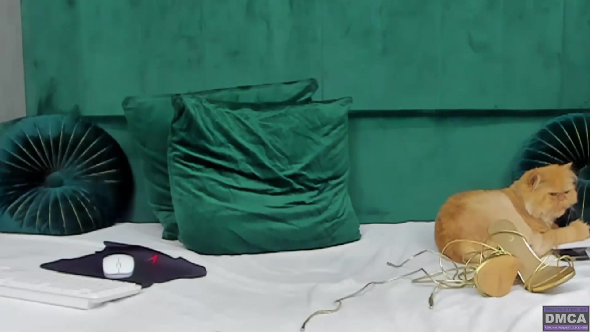 Gallery image thumbnail from ivonady's myfreecams stream on, 08/26/2023, 18:51 image 12 of 20