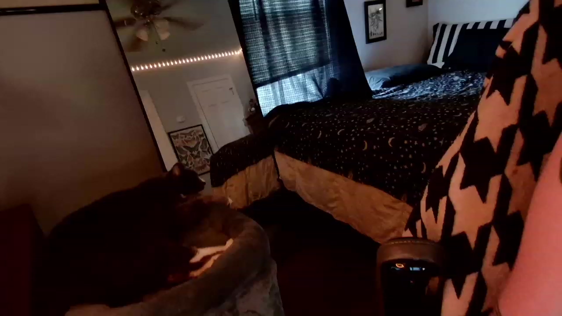 Gallery image thumbnail from ivorynyx's myfreecams stream on, 05/07/2023, 24:33 image 9 of 20