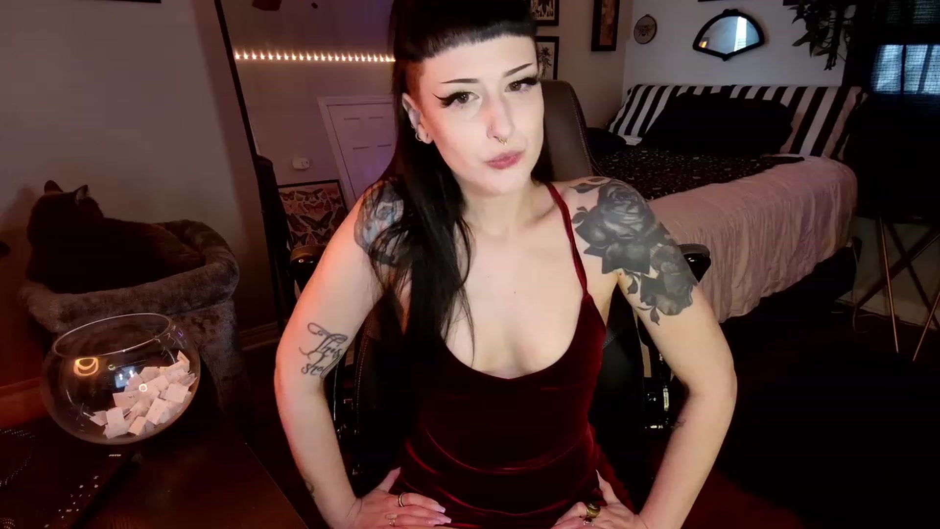 Gallery image thumbnail from ivorynyx's myfreecams stream on, 05/13/2023, 24:47 image 11 of 20