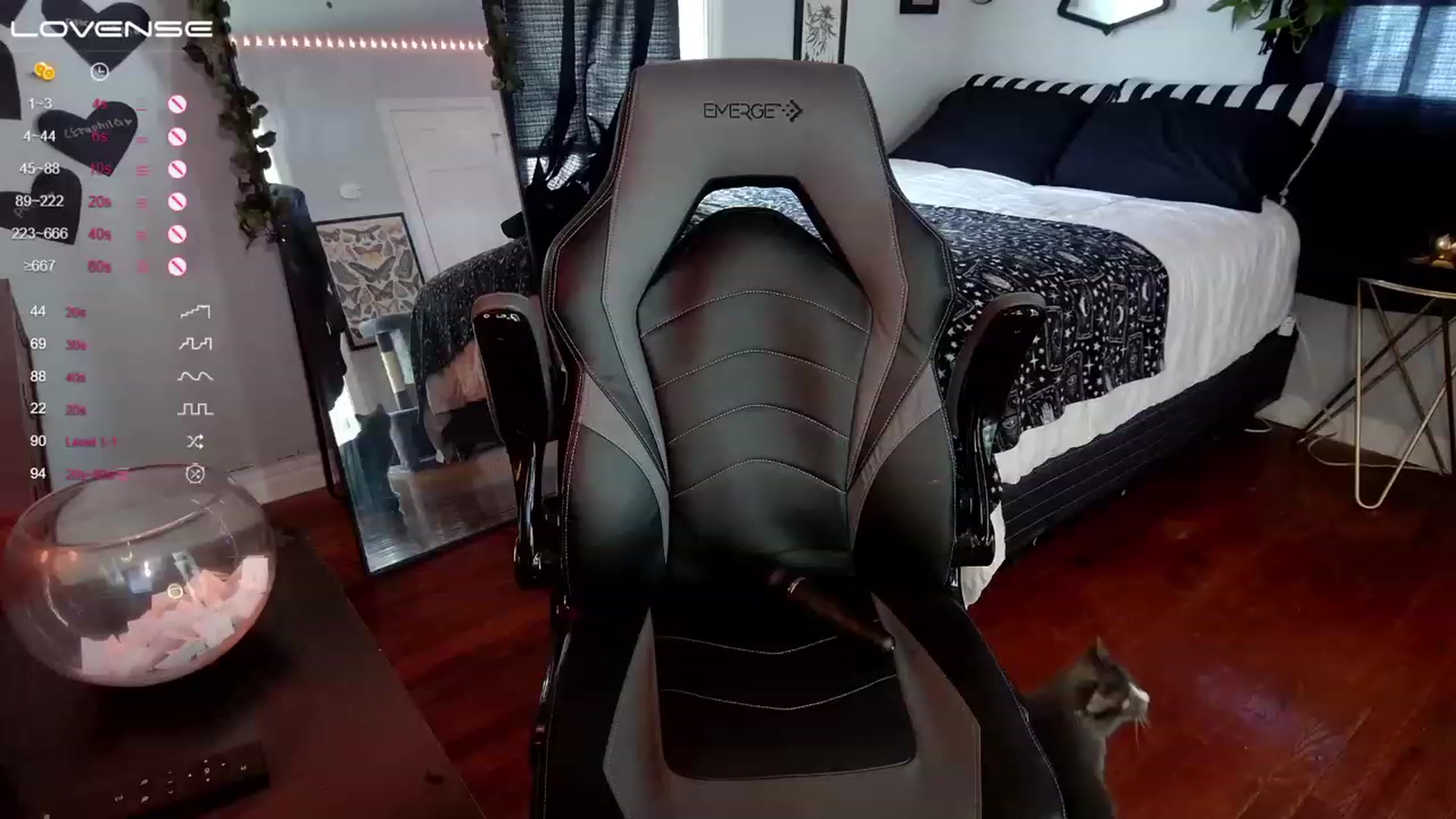 Gallery image thumbnail from ivorynyx's myfreecams stream on, 05/16/2023, 23:16 image 13 of 20