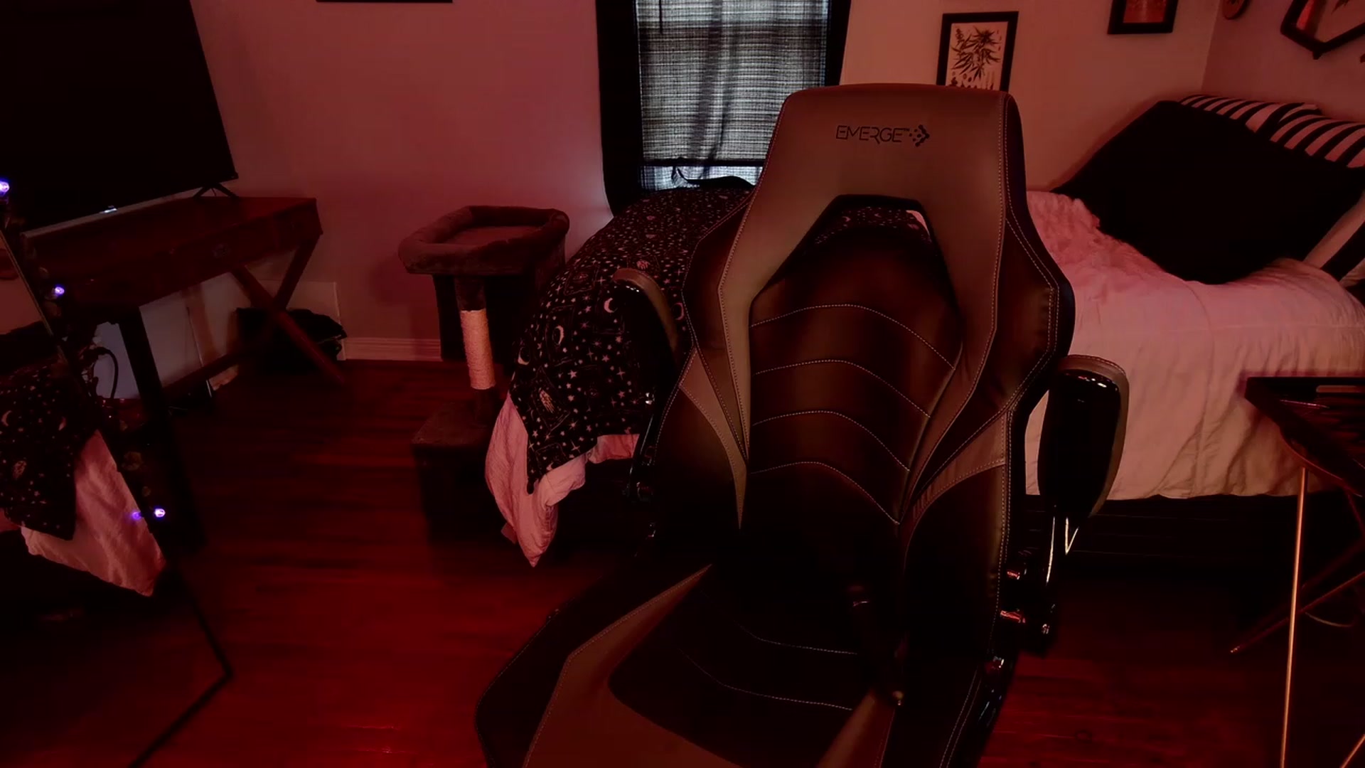 Gallery image thumbnail from ivorynyx's myfreecams stream on, 05/24/2023, 22:49 image 9 of 20