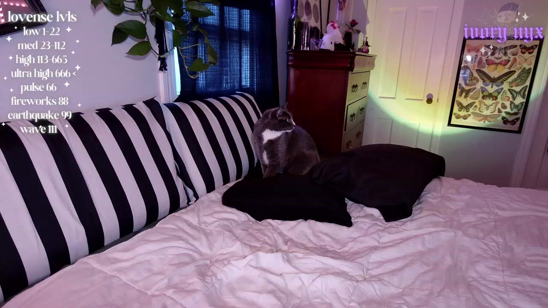 Gallery image thumbnail from ivorynyx's myfreecams stream on, 06/12/2023, 01:13 image 8 of 20