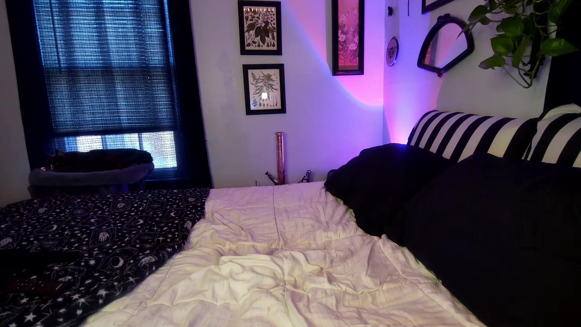 Gallery image thumbnail from ivorynyx's myfreecams stream on, 07/18/2023, 23:24 image 14 of 20