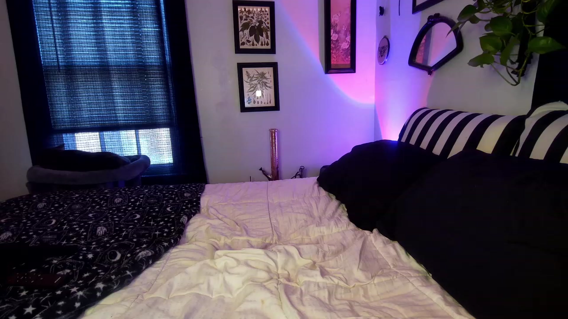 Gallery image thumbnail from ivorynyx's myfreecams stream on, 07/18/2023, 23:24 image 12 of 20