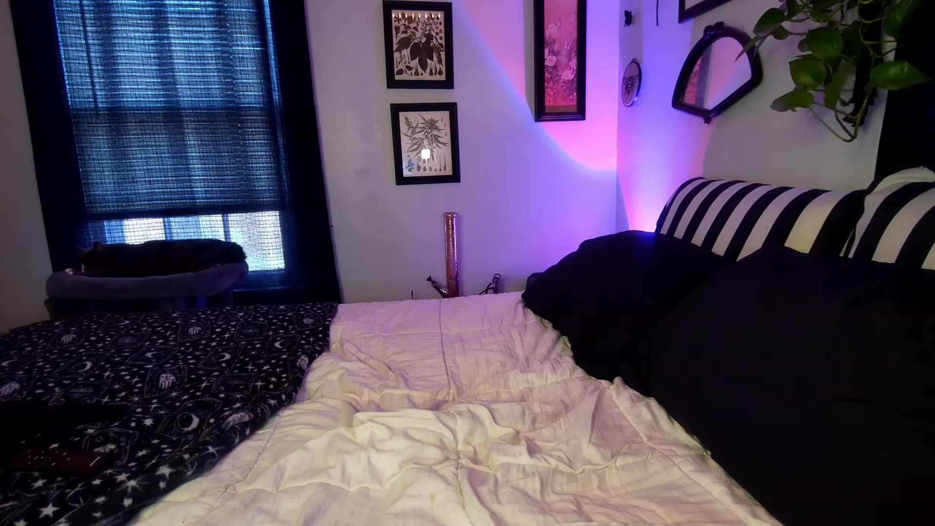 Gallery image thumbnail from ivorynyx's myfreecams stream on, 07/18/2023, 23:24 image 13 of 20