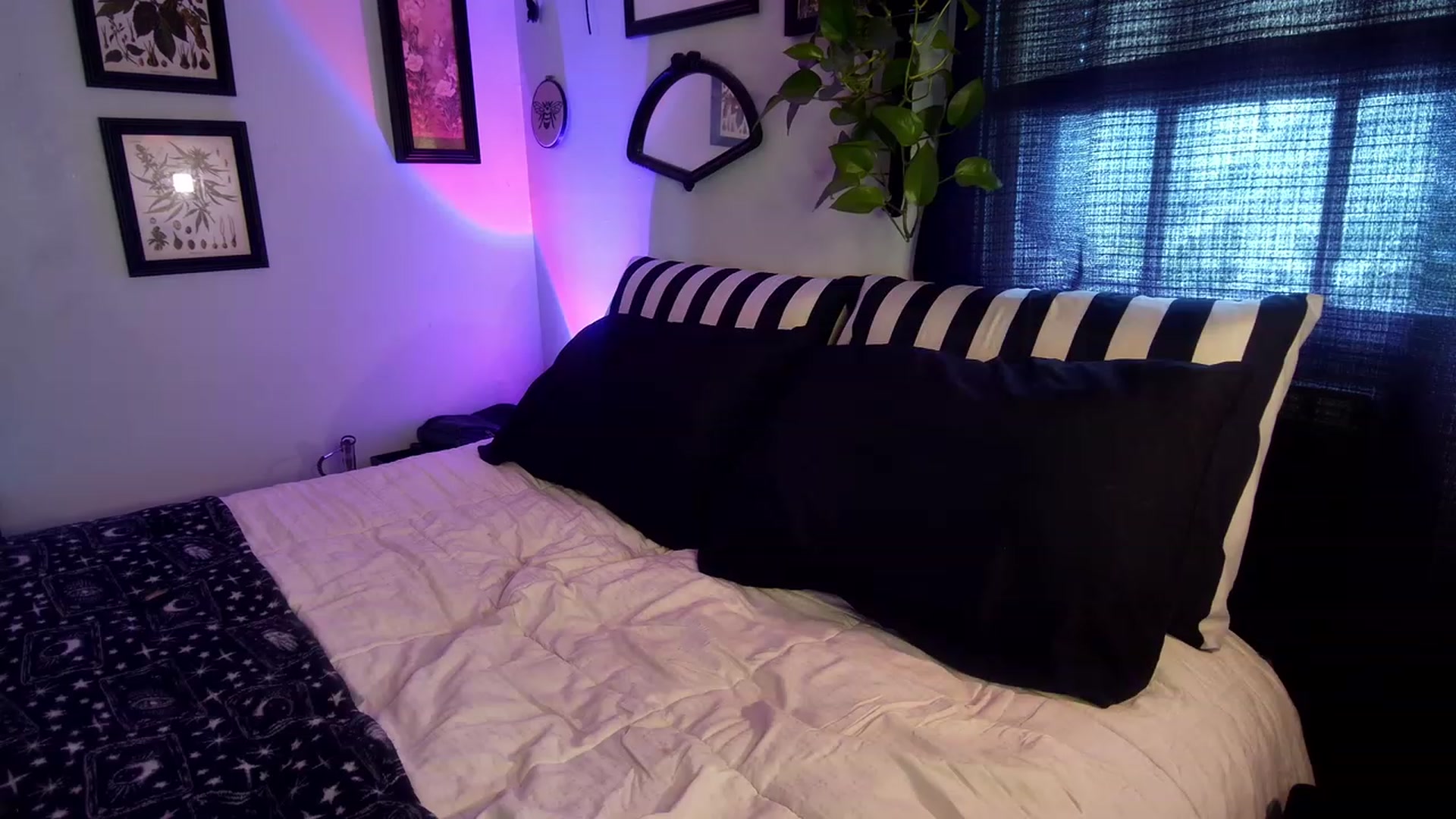 Gallery image thumbnail from ivorynyx's myfreecams stream on, 07/20/2023, 21:20 image 8 of 20