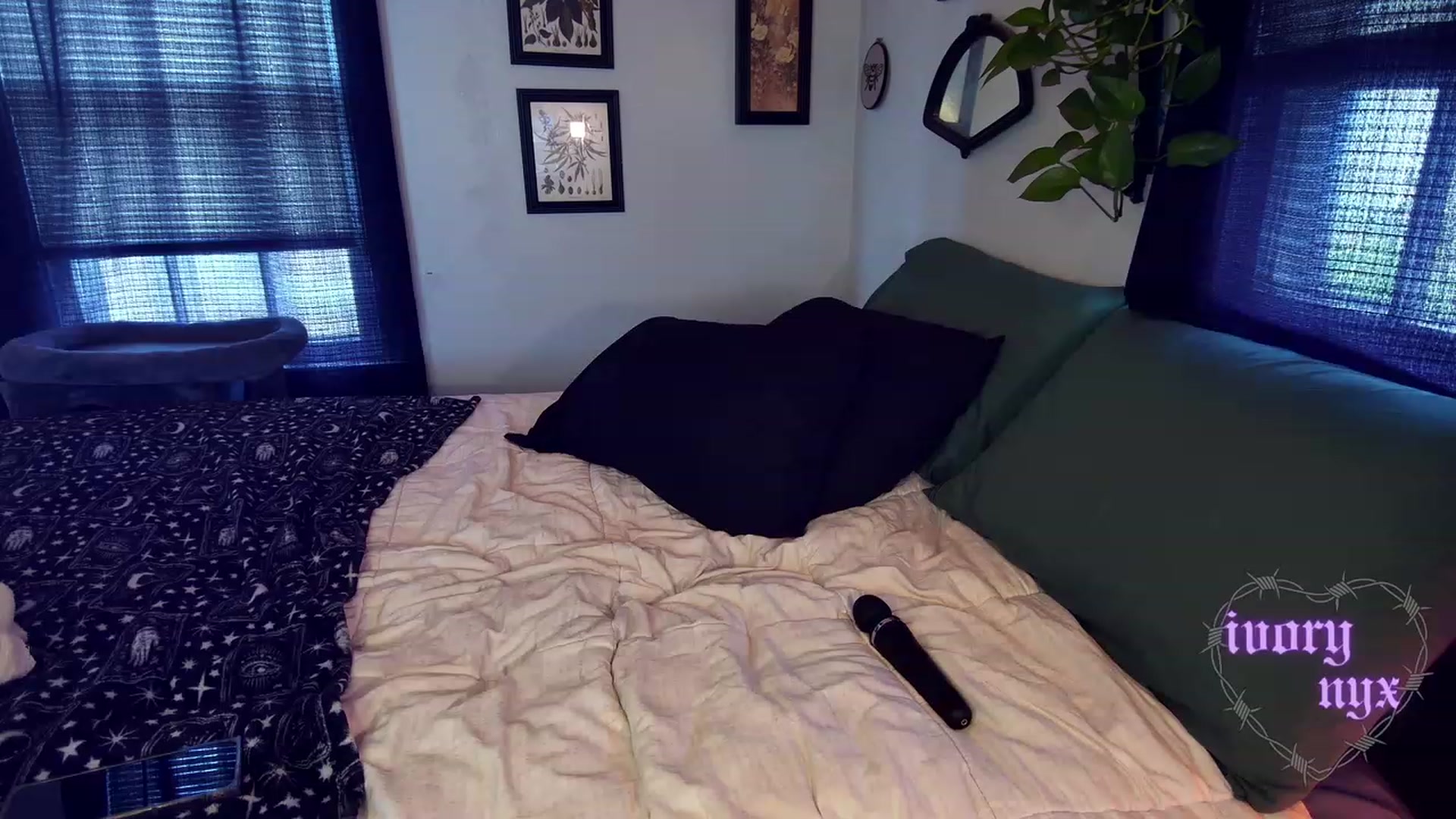 Gallery image thumbnail from ivorynyx's myfreecams stream on, 07/27/2023, 21:54 image 10 of 20