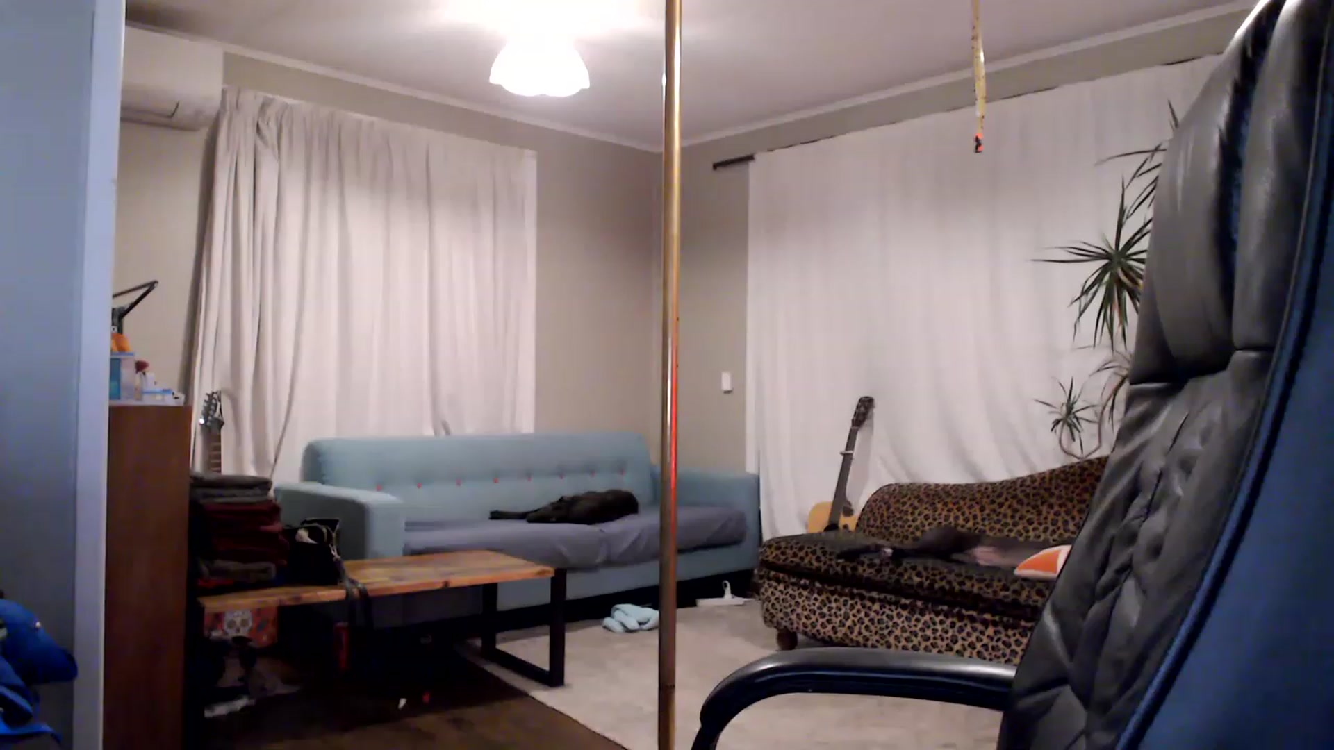 Gallery image thumbnail from ivydragon's myfreecams stream on, 02/02/2023, 13:46 image 18 of 20