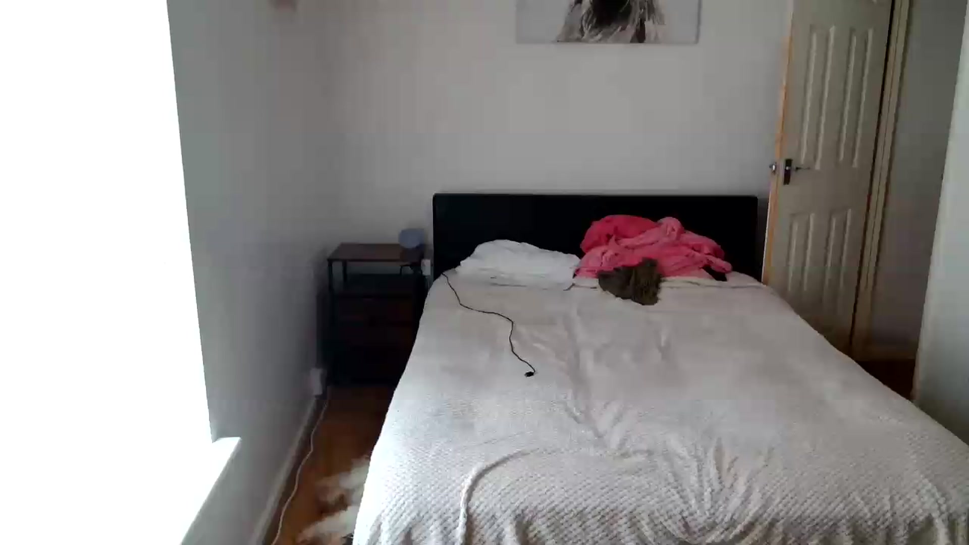 Gallery image thumbnail from jadelee8's myfreecams stream on, 07/17/2026, 15:39 image 12 of 20