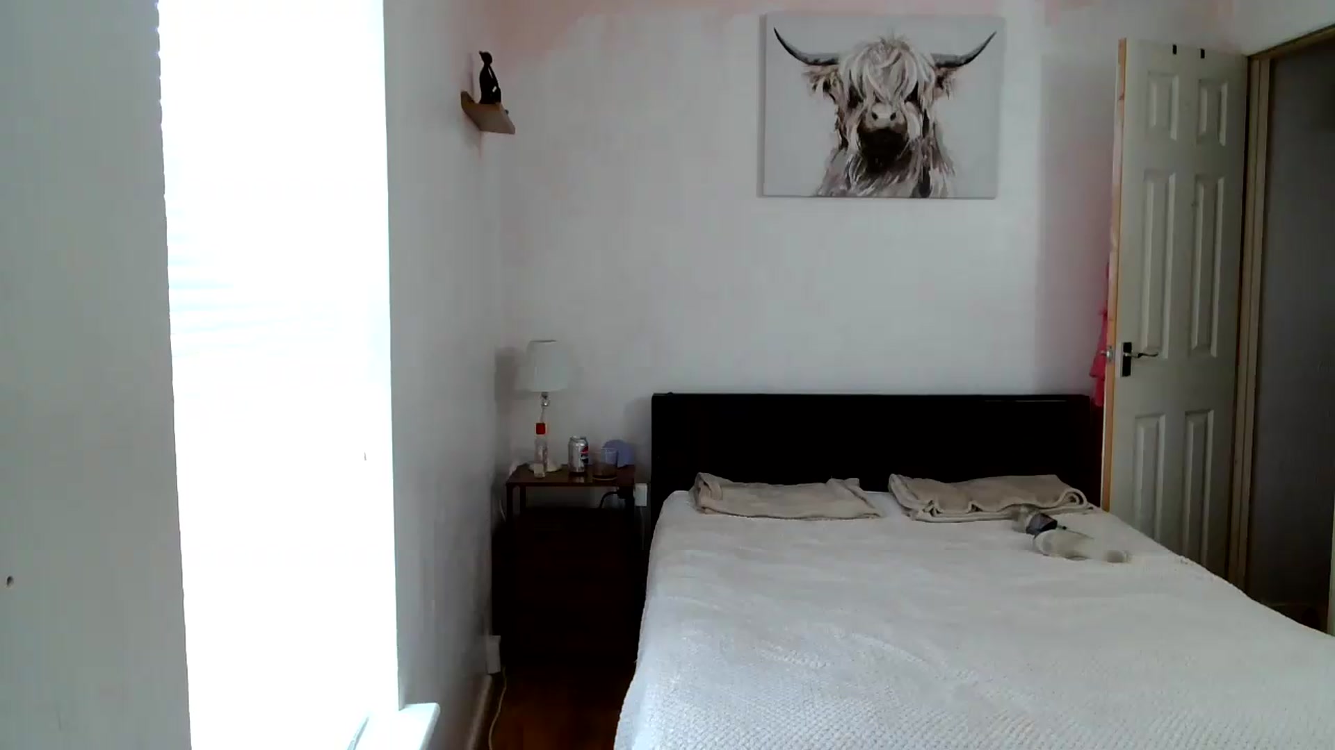 Gallery image thumbnail from jadelee8's myfreecams stream on, 07/23/2026, 17:06 image 17 of 20