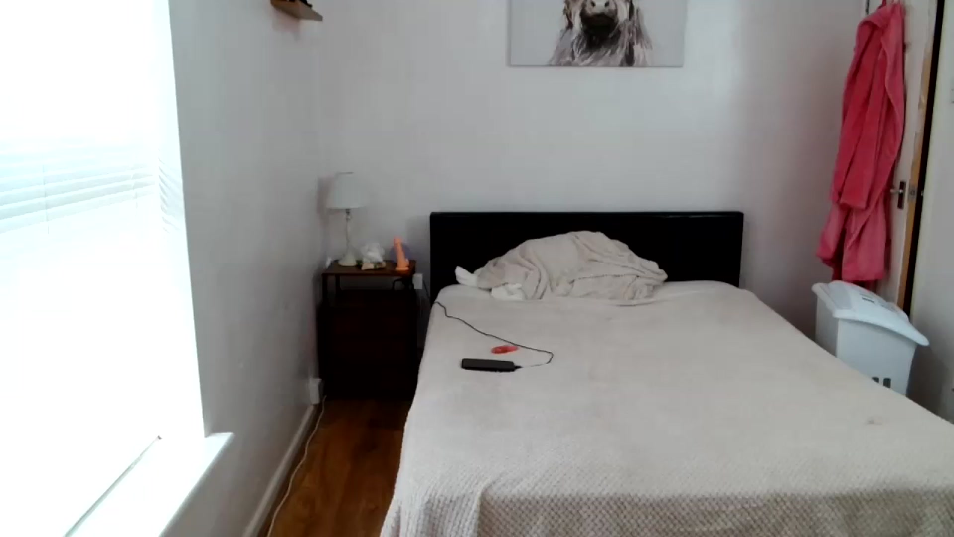 Gallery image thumbnail from jadelee8's myfreecams stream on, 07/28/2026, 18:19 image 19 of 20