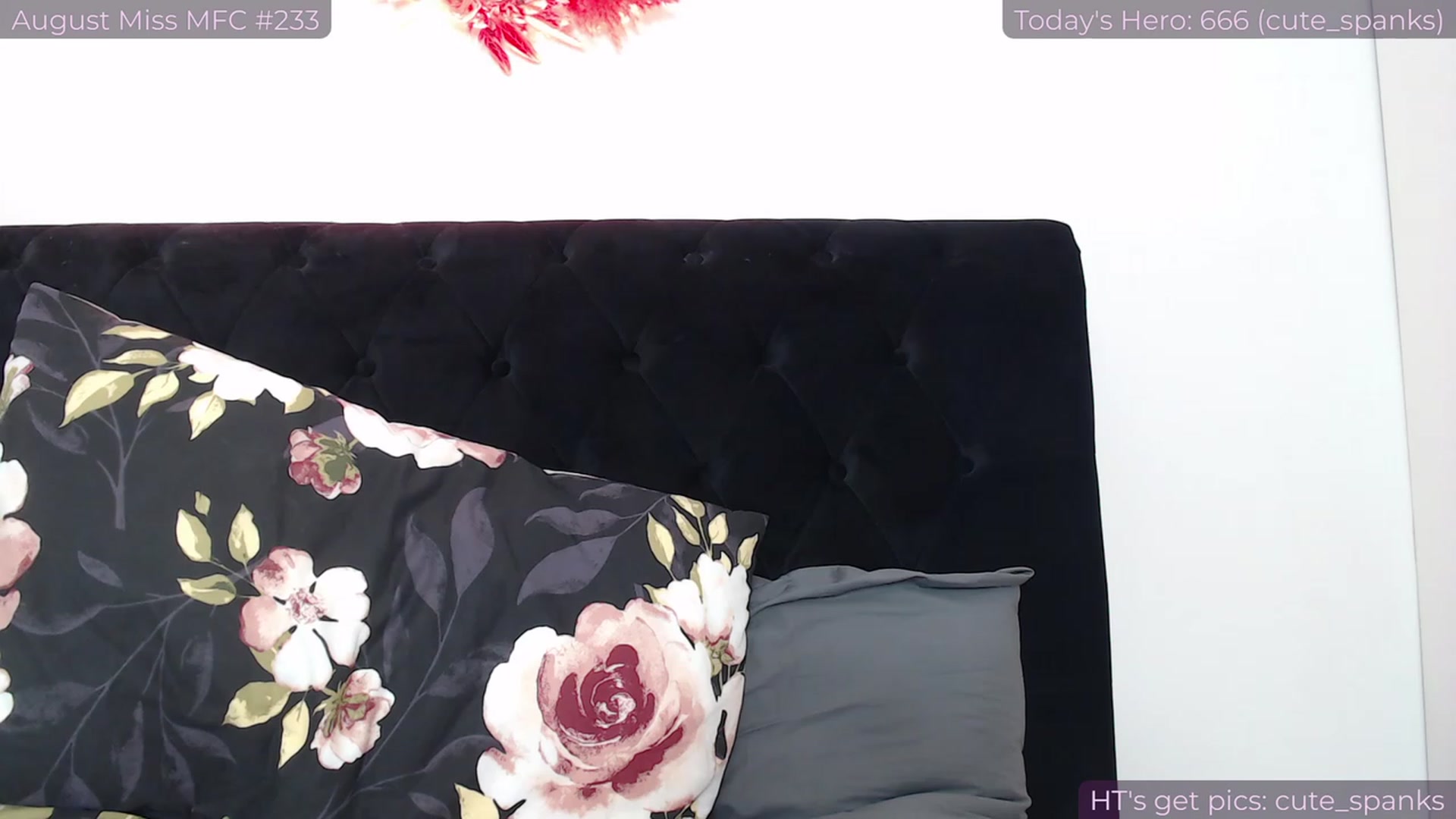 Gallery image thumbnail from jamiejones's myfreecams stream on, 08/21/2023, 24:01 image 1 of 20
