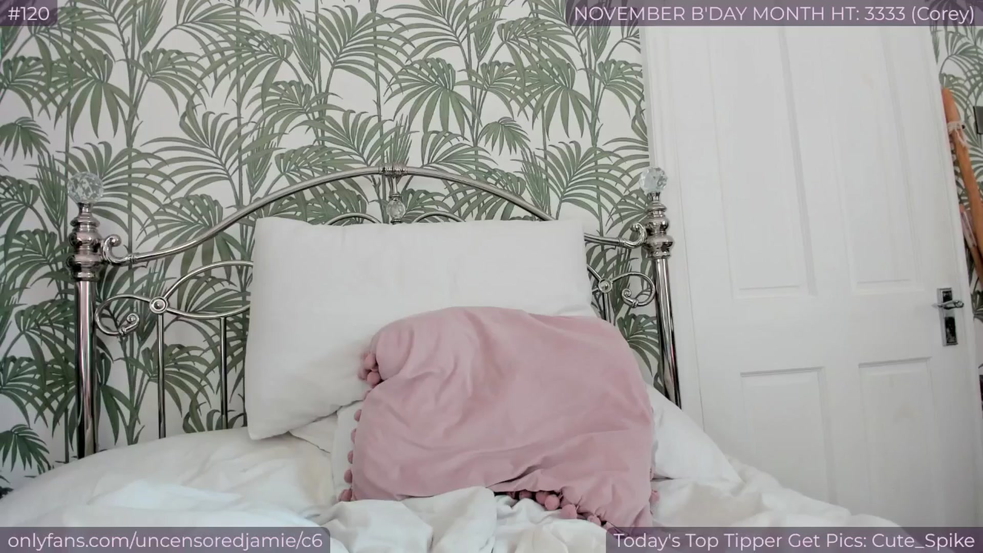 Gallery image thumbnail from jamiejones's myfreecams stream on, 11/21/2025, 14:25 image 19 of 20
