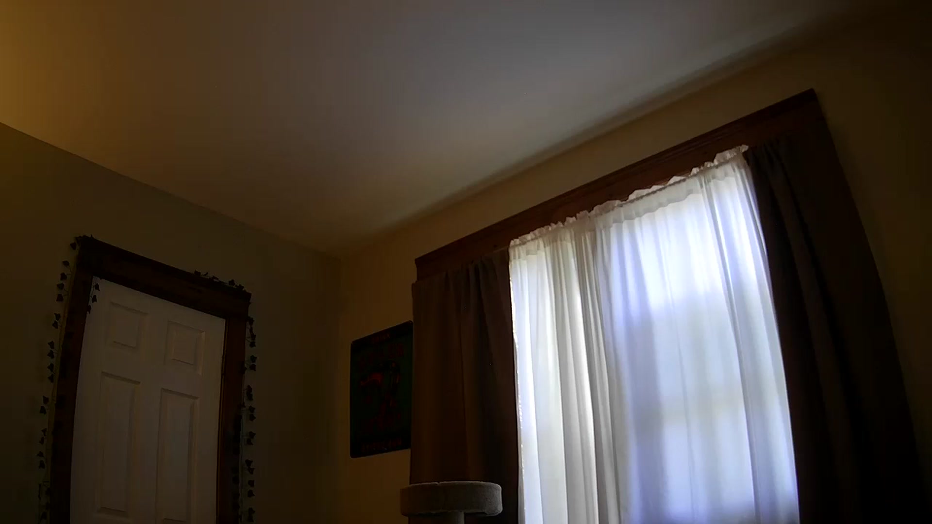 Gallery image thumbnail from jane_66's myfreecams stream on, 10/11/2025, 15:42 image 18 of 20