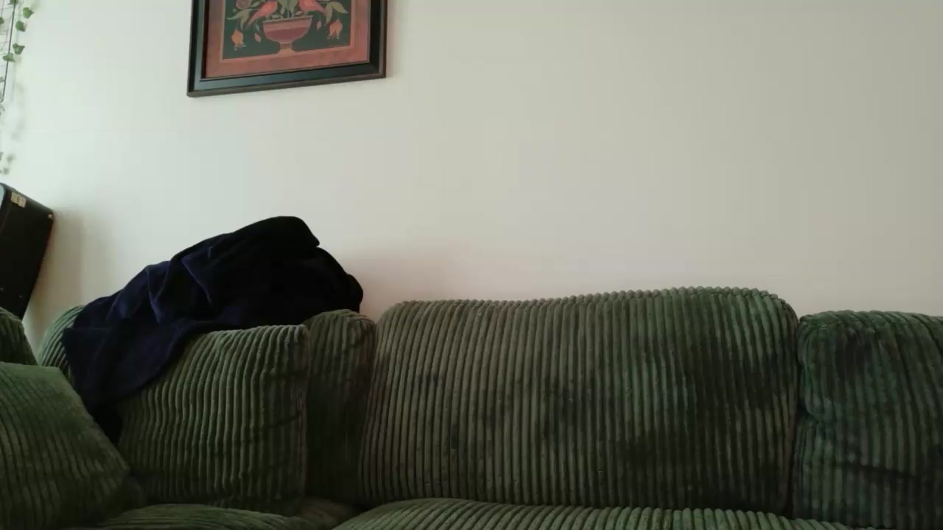 Gallery image thumbnail from jane_66's myfreecams stream on, 05/29/2026, 17:21 image 3 of 20