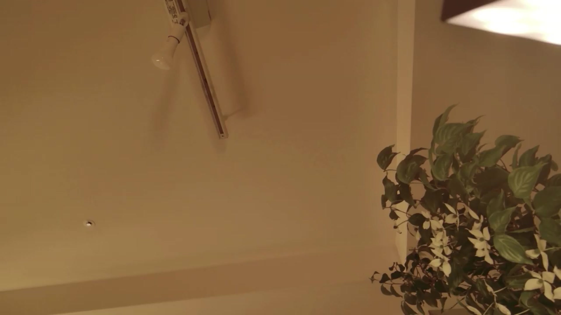 Gallery image thumbnail from japanesequeen's myfreecams stream on, 05/24/2026, 11:46 image 8 of 20
