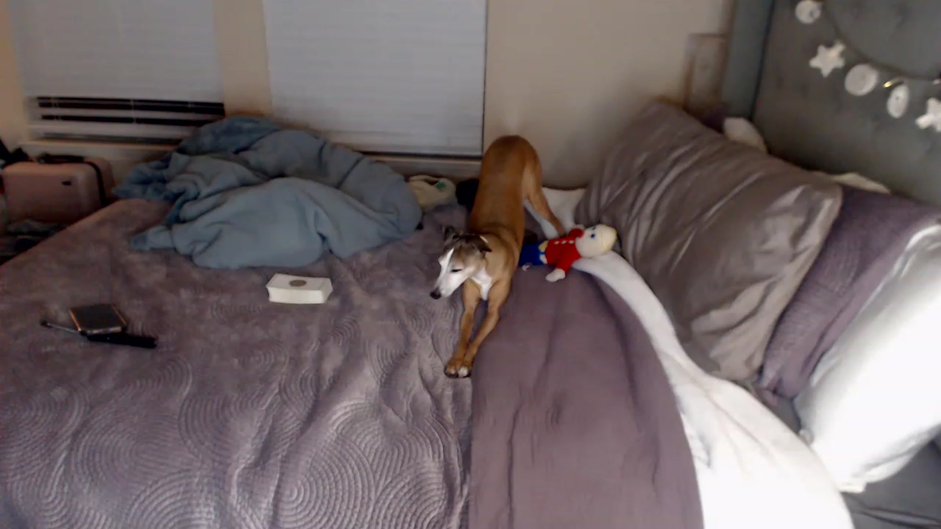 Gallery image thumbnail from jizzgooglez's myfreecams stream on, 03/04/2023, 04:14 image 17 of 20