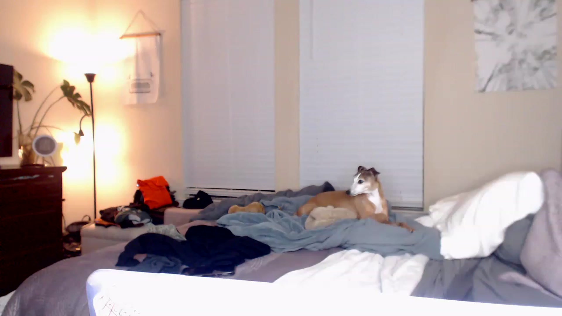 Gallery image thumbnail from jizzgooglez's myfreecams stream on, 03/08/2023, 04:05 image 14 of 20