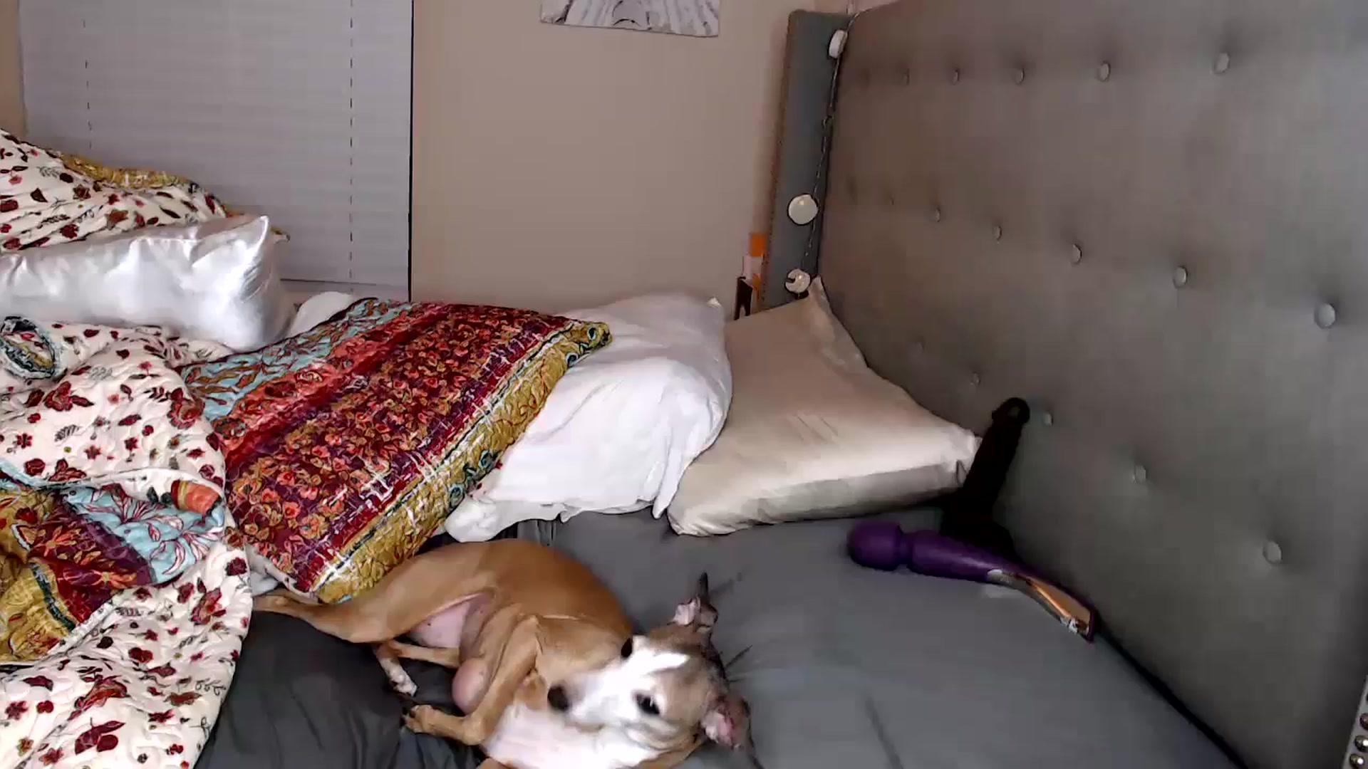 Gallery image thumbnail from jizzgooglez's myfreecams stream on, 03/03/2024, 05:55 image 4 of 20