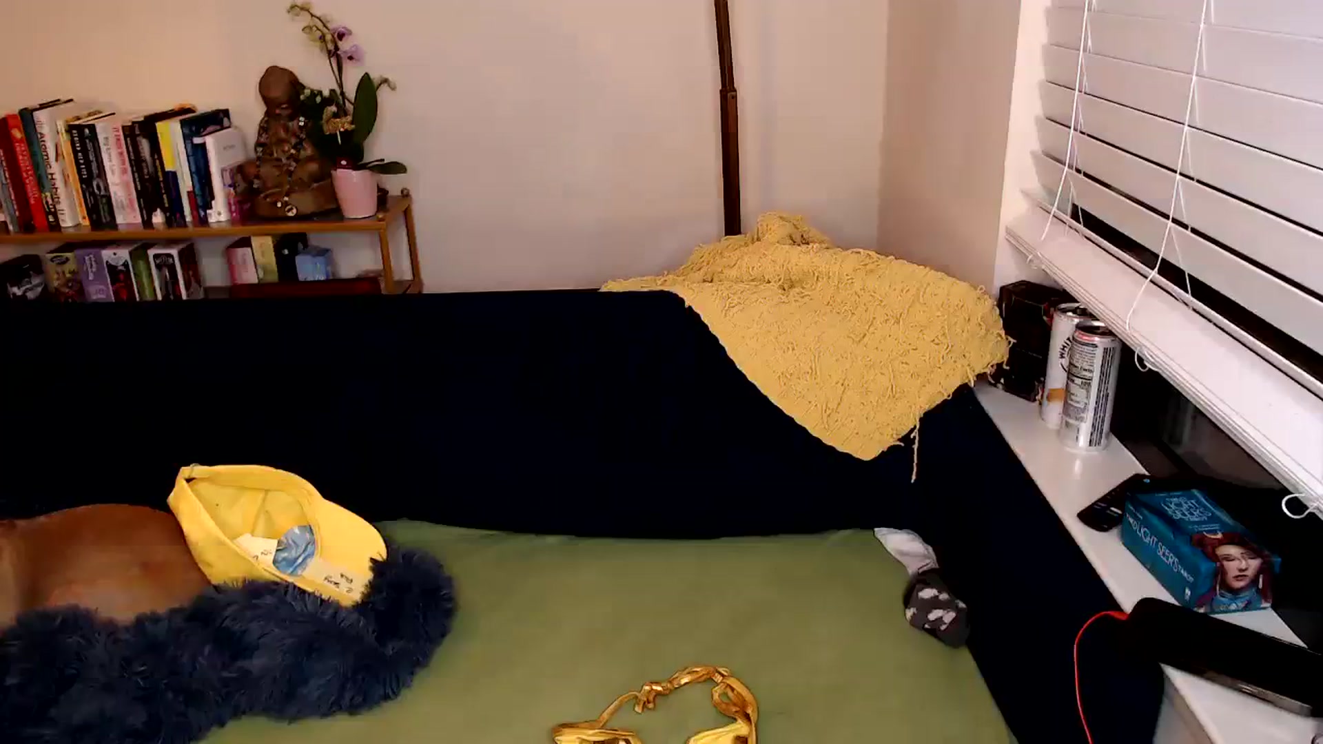 Gallery image thumbnail from jizzgooglez's myfreecams stream on, 03/10/2024, 05:25 image 17 of 20