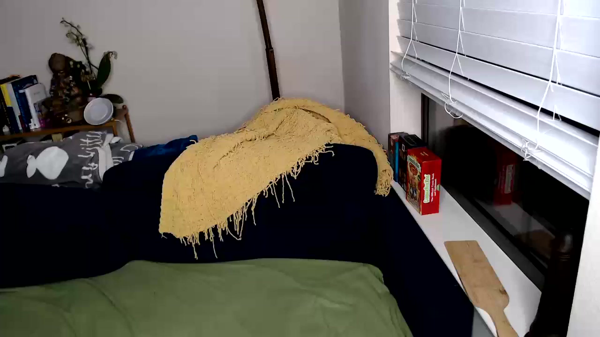 Gallery image thumbnail from jizzgooglez's myfreecams stream on, 03/31/2024, 24:26 image 5 of 20