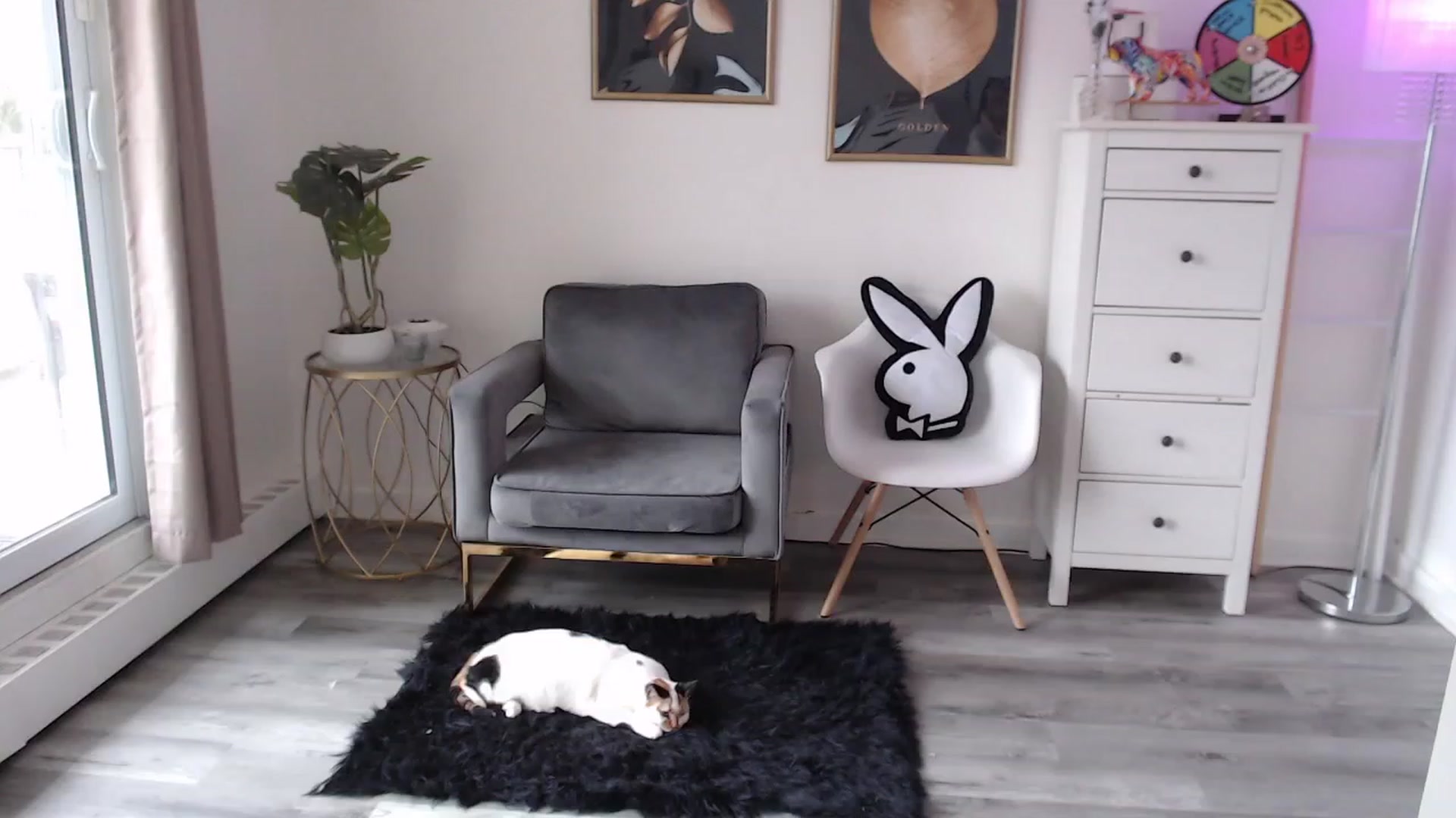 Gallery image thumbnail from josieeblakee's myfreecams stream on, 12/29/2023, 16:14 image 3 of 20