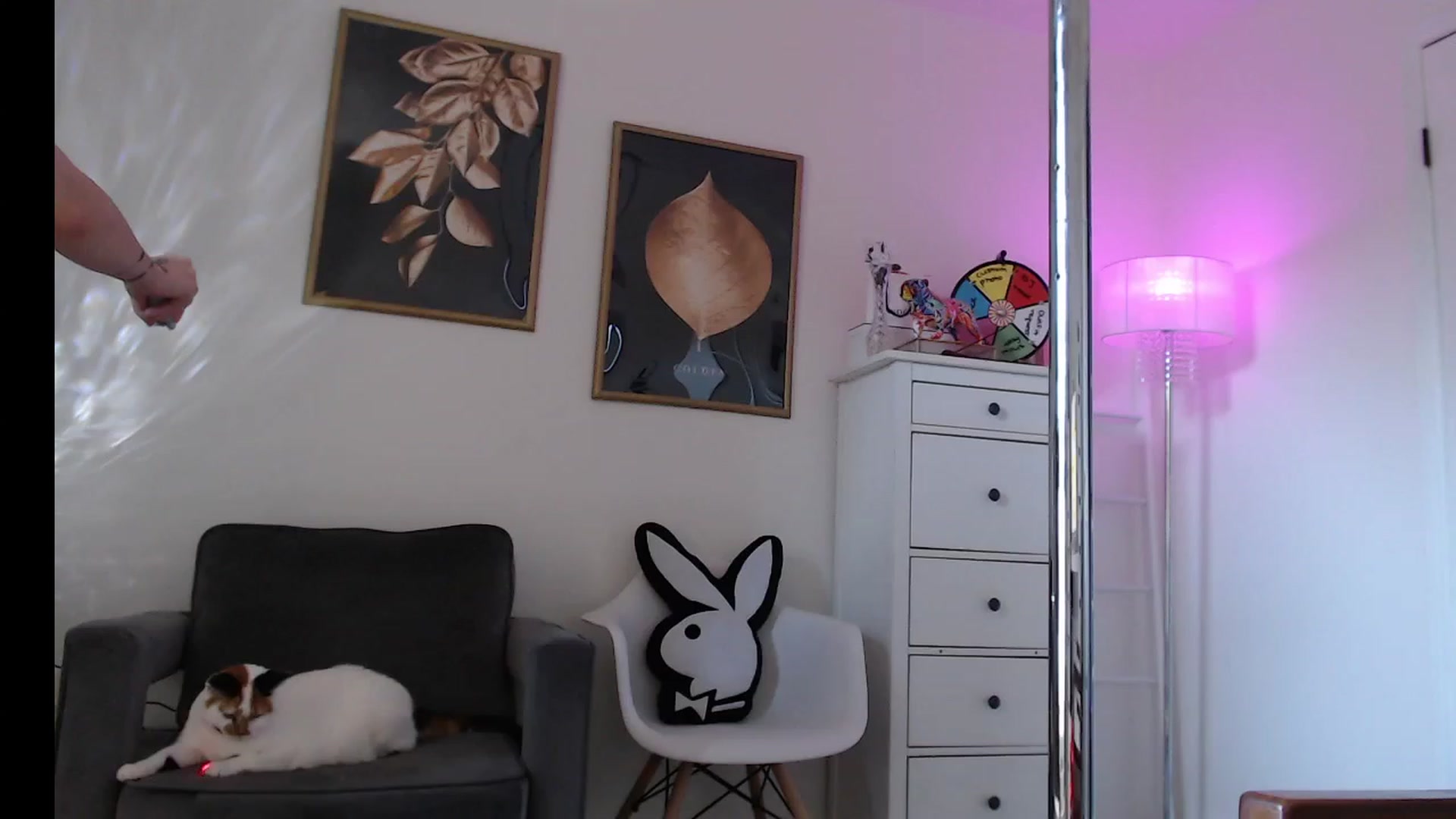 Gallery image thumbnail from josieeblakee's myfreecams stream on, 01/01/2024, 16:20 image 19 of 20