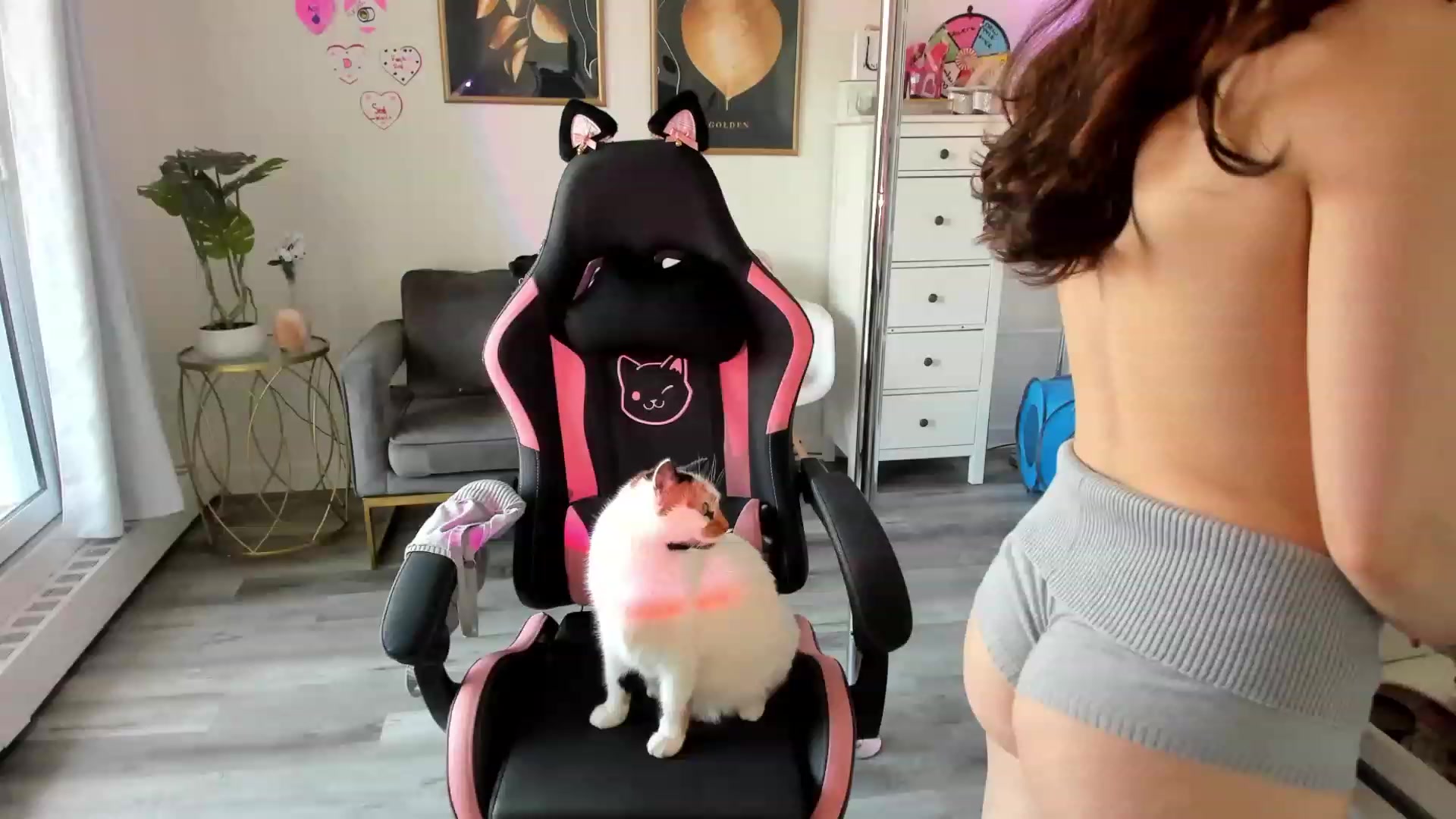 Gallery image thumbnail from josieeblakee's myfreecams stream on, 02/25/2024, 18:36 image 7 of 20