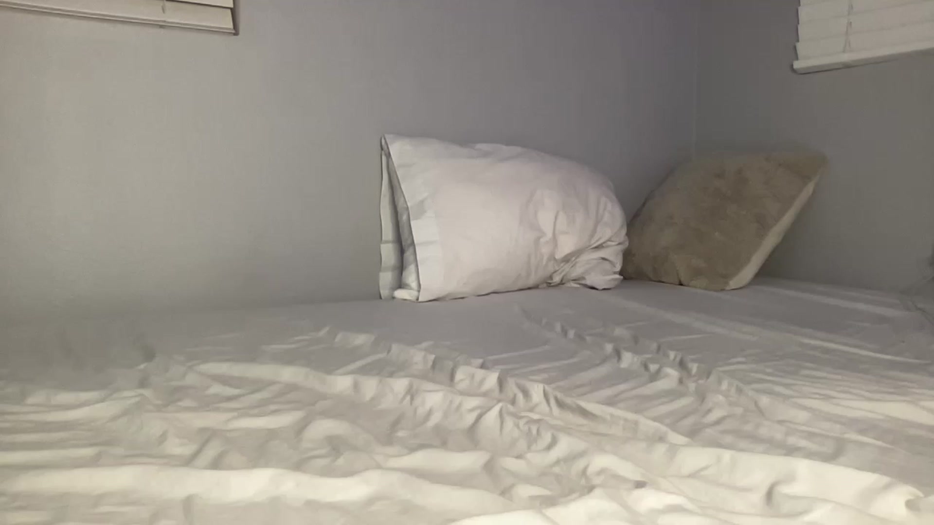 Gallery image thumbnail from juicyjujuu's myfreecams stream on, 11/21/2022, 09:37 image 16 of 20