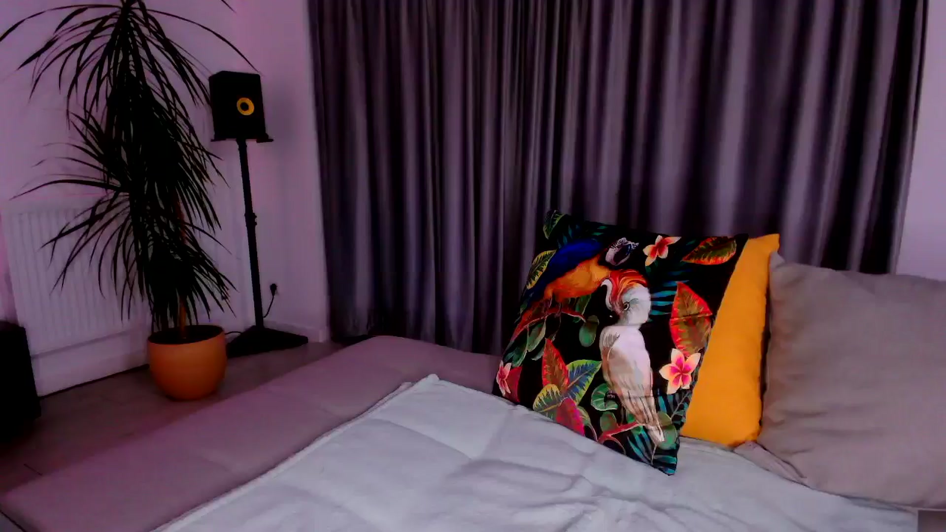 Gallery image thumbnail from just_elle's myfreecams stream on, 10/18/2025, 19:21 image 2 of 20