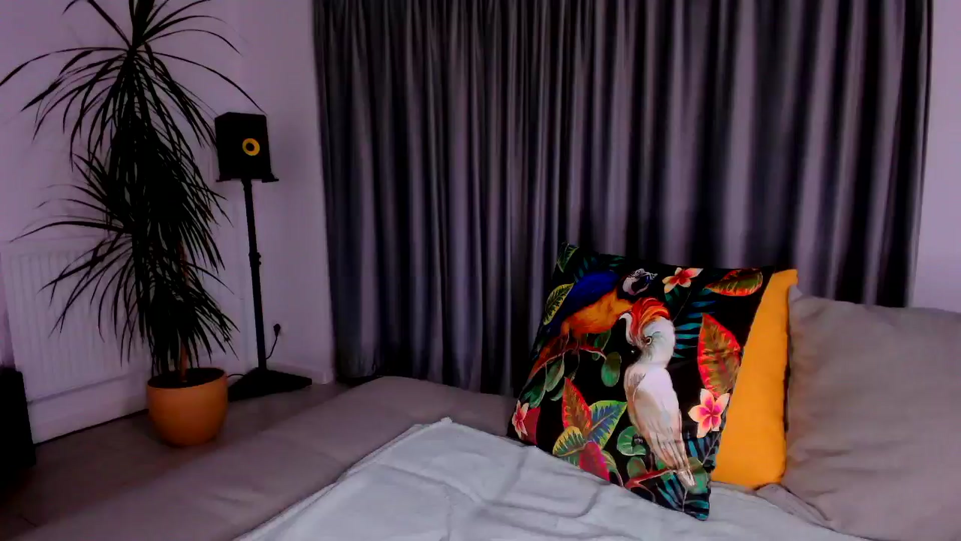 Gallery image thumbnail from just_elle's myfreecams stream on, 10/18/2025, 19:35 image 5 of 20