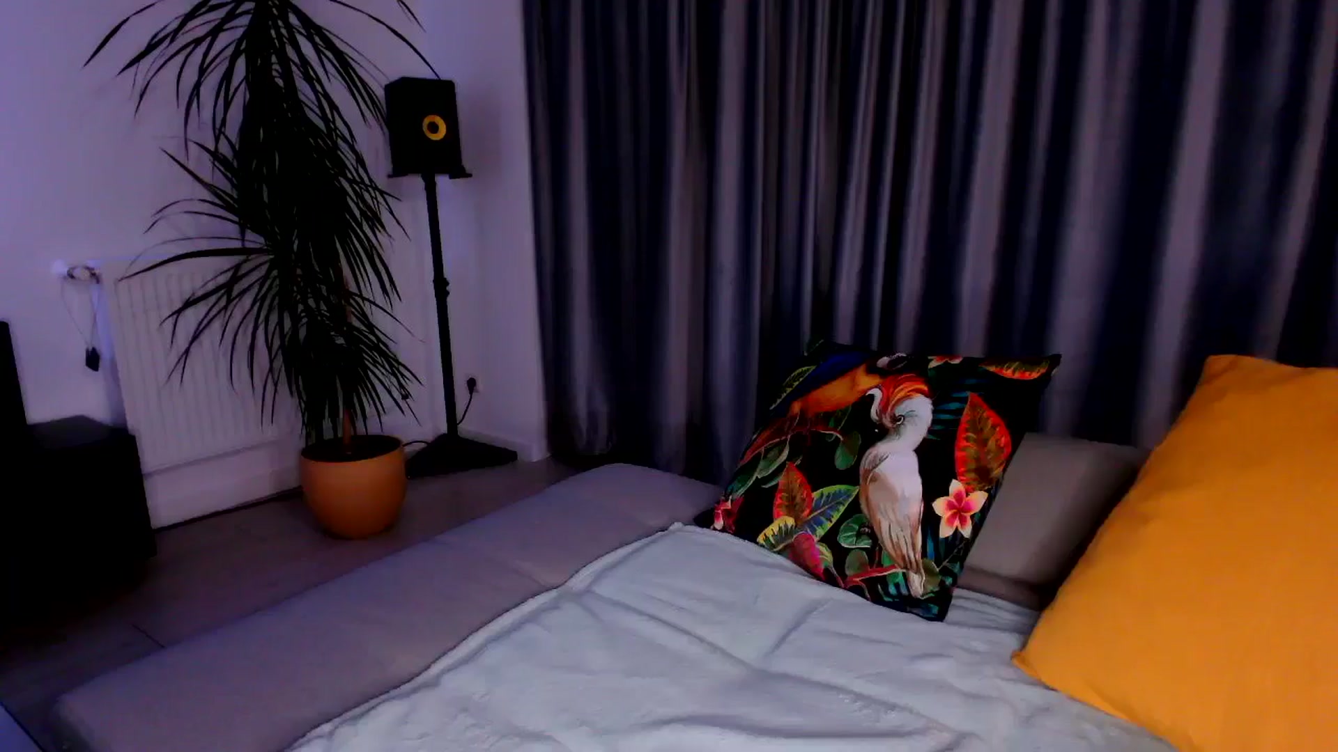 Gallery image thumbnail from just_elle's myfreecams stream on, 11/01/2025, 19:31 image 17 of 20
