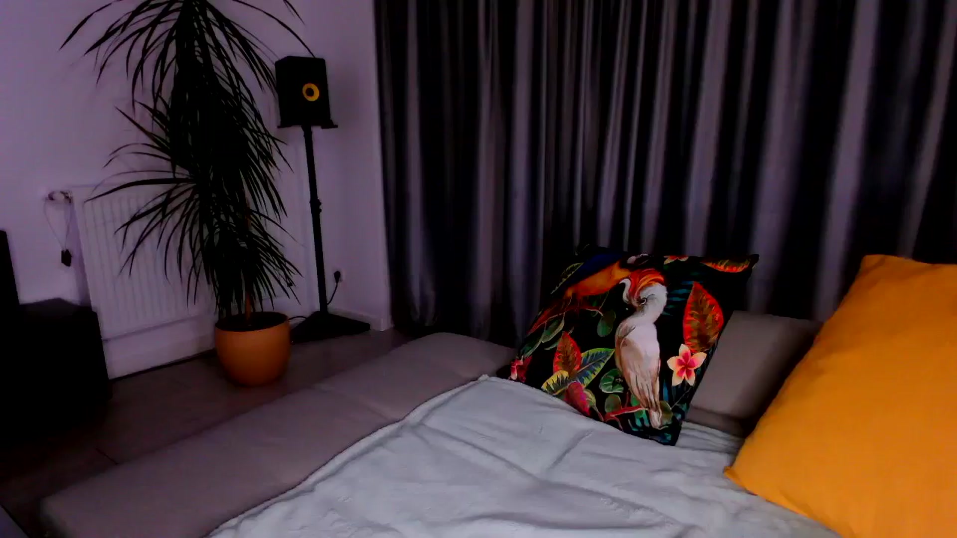 Gallery image thumbnail from just_elle's myfreecams stream on, 11/01/2025, 19:31 image 14 of 20