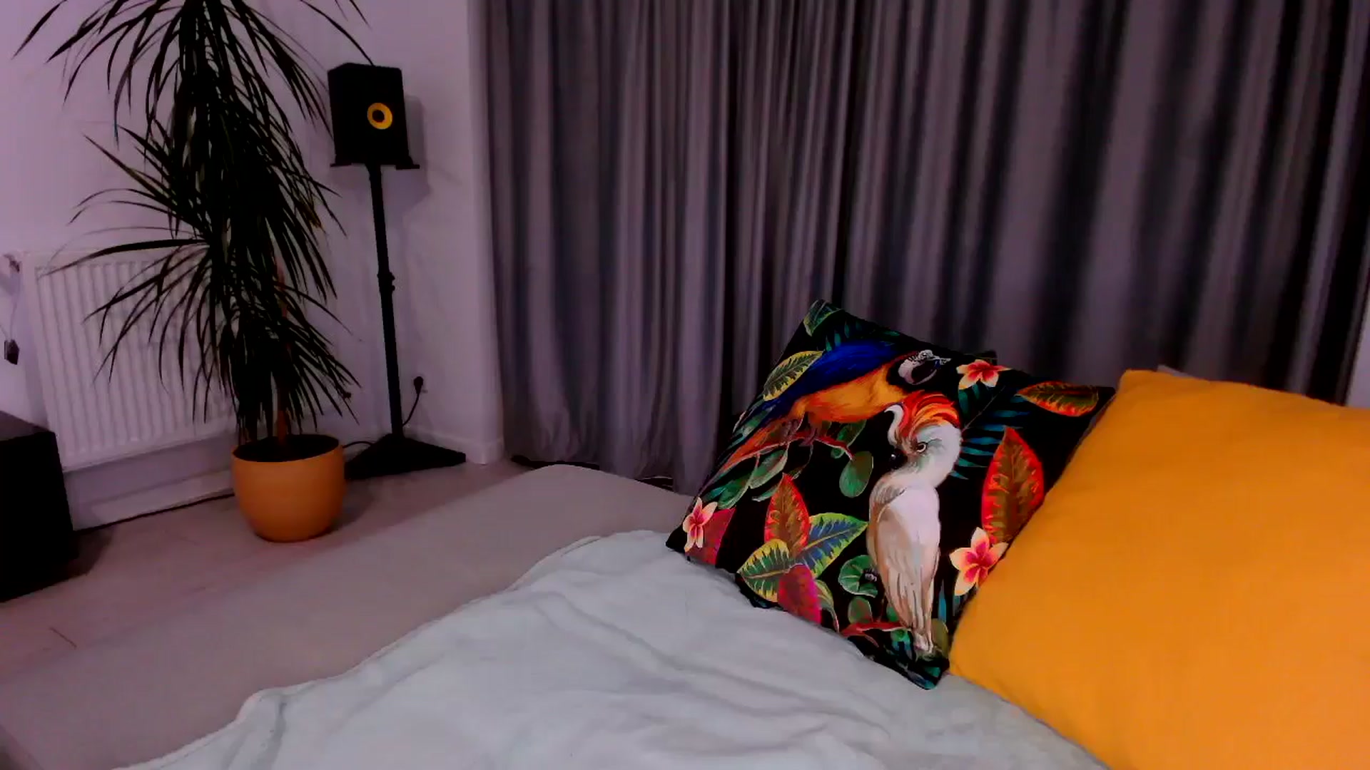 Gallery image thumbnail from just_elle's myfreecams stream on, 11/02/2025, 20:28 image 4 of 20