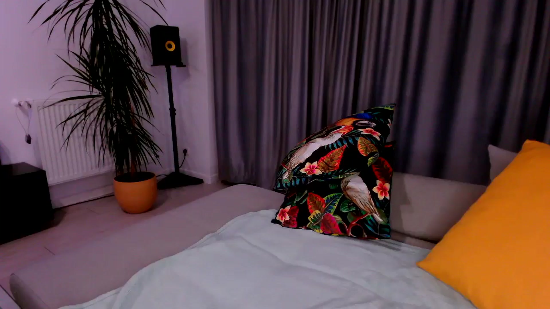 Gallery image thumbnail from just_elle's myfreecams stream on, 11/02/2025, 20:28 image 14 of 20