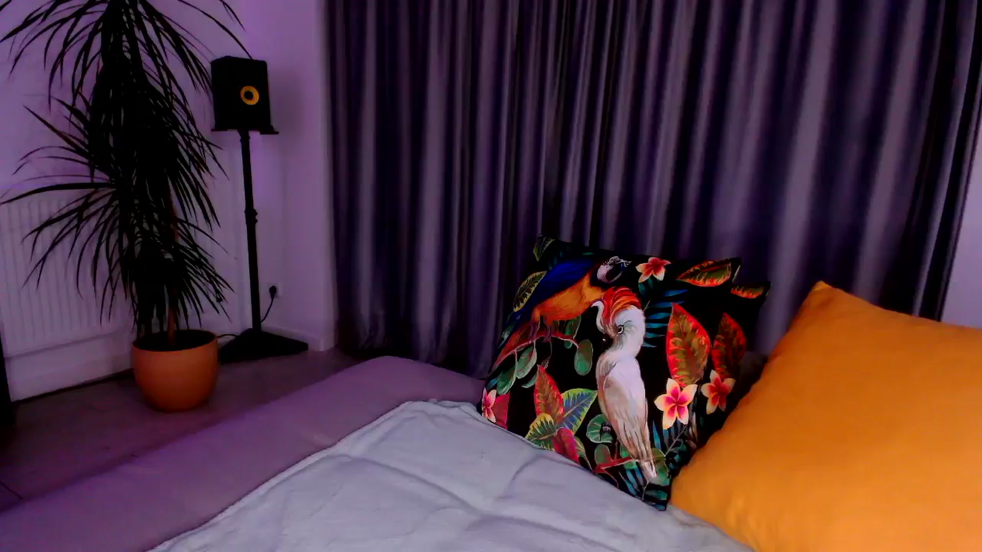 Gallery image thumbnail from just_elle's myfreecams stream on, 11/03/2025, 22:05 image 15 of 20