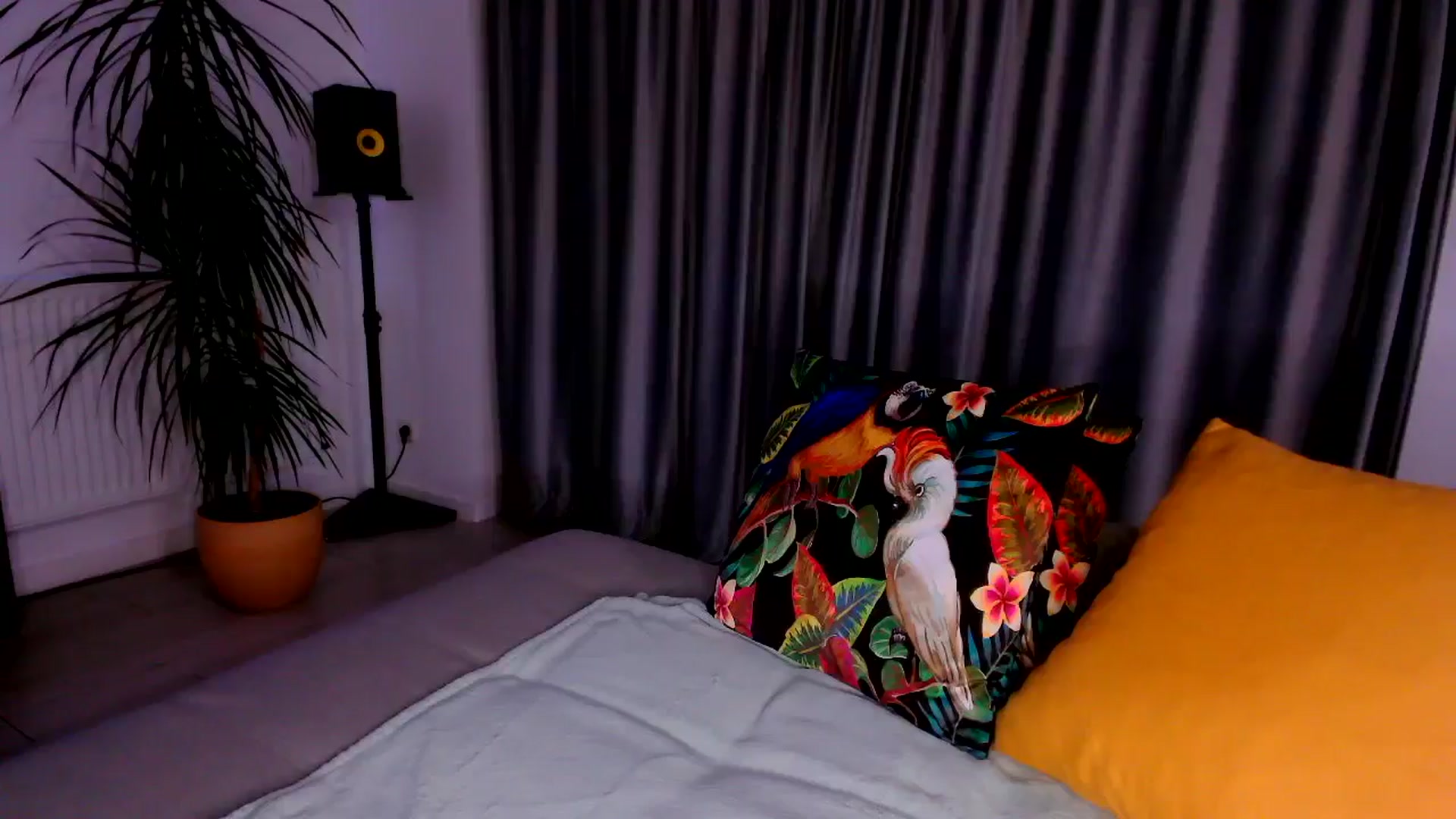 Gallery image thumbnail from just_elle's myfreecams stream on, 11/03/2025, 22:05 image 12 of 20