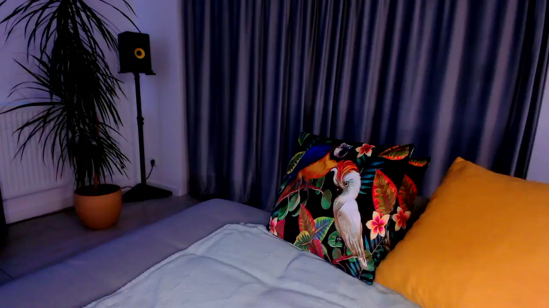 Gallery image thumbnail from just_elle's myfreecams stream on, 11/03/2025, 22:05 image 16 of 20