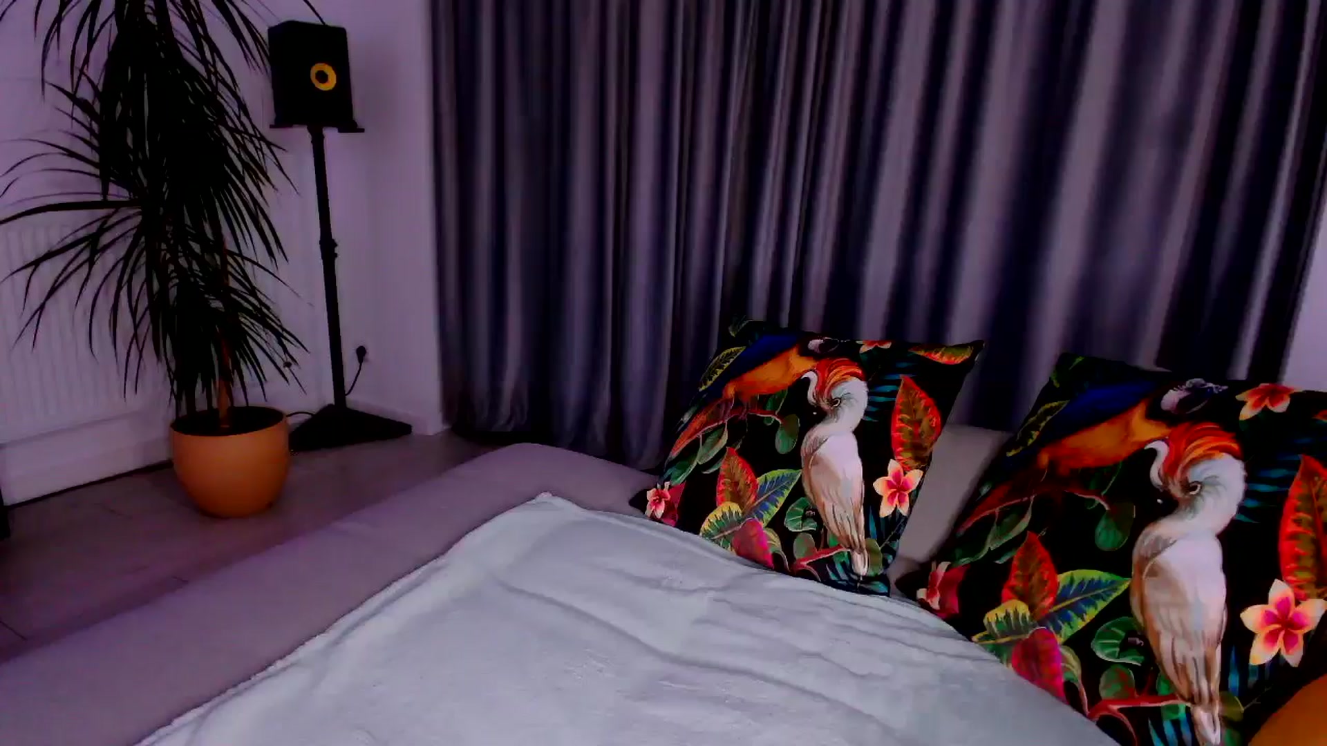Gallery image thumbnail from just_elle's myfreecams stream on, 11/08/2025, 24:58 image 3 of 20