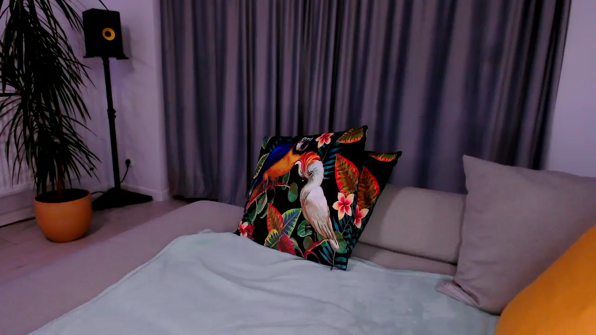 Gallery image thumbnail from just_elle's myfreecams stream on, 11/08/2025, 22:36 image 14 of 20