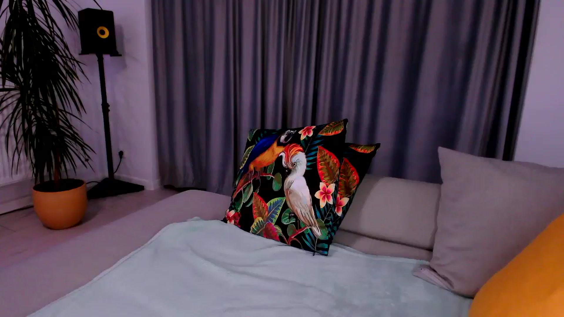 Gallery image thumbnail from just_elle's myfreecams stream on, 11/08/2025, 22:36 image 13 of 20