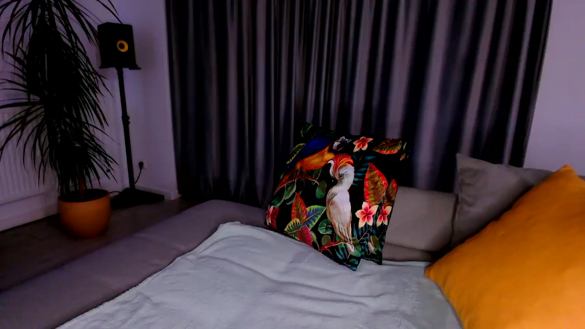Gallery image thumbnail from just_elle's myfreecams stream on, 11/09/2025, 20:34 image 14 of 20